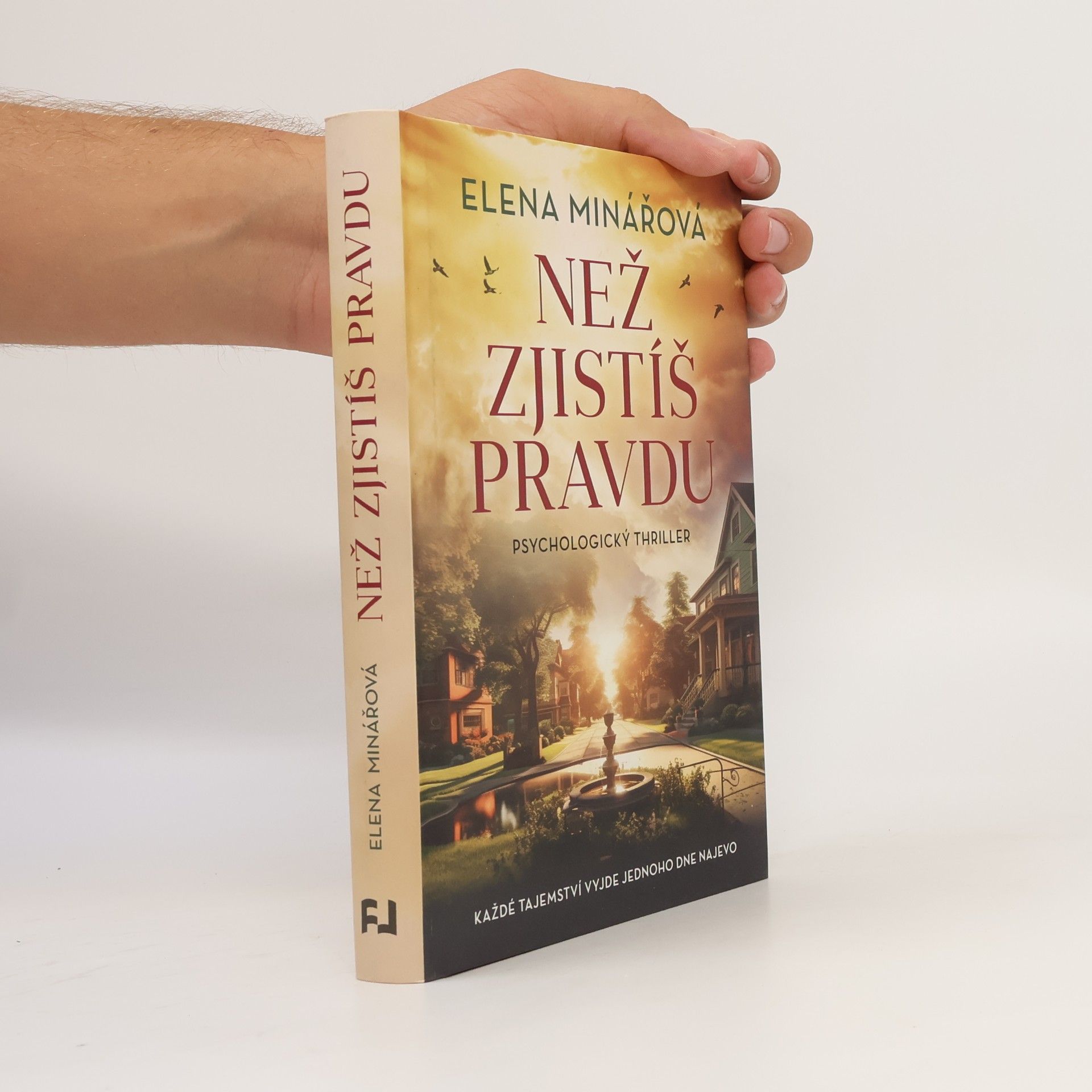 Elena Minářová Než zjistíš pravdu