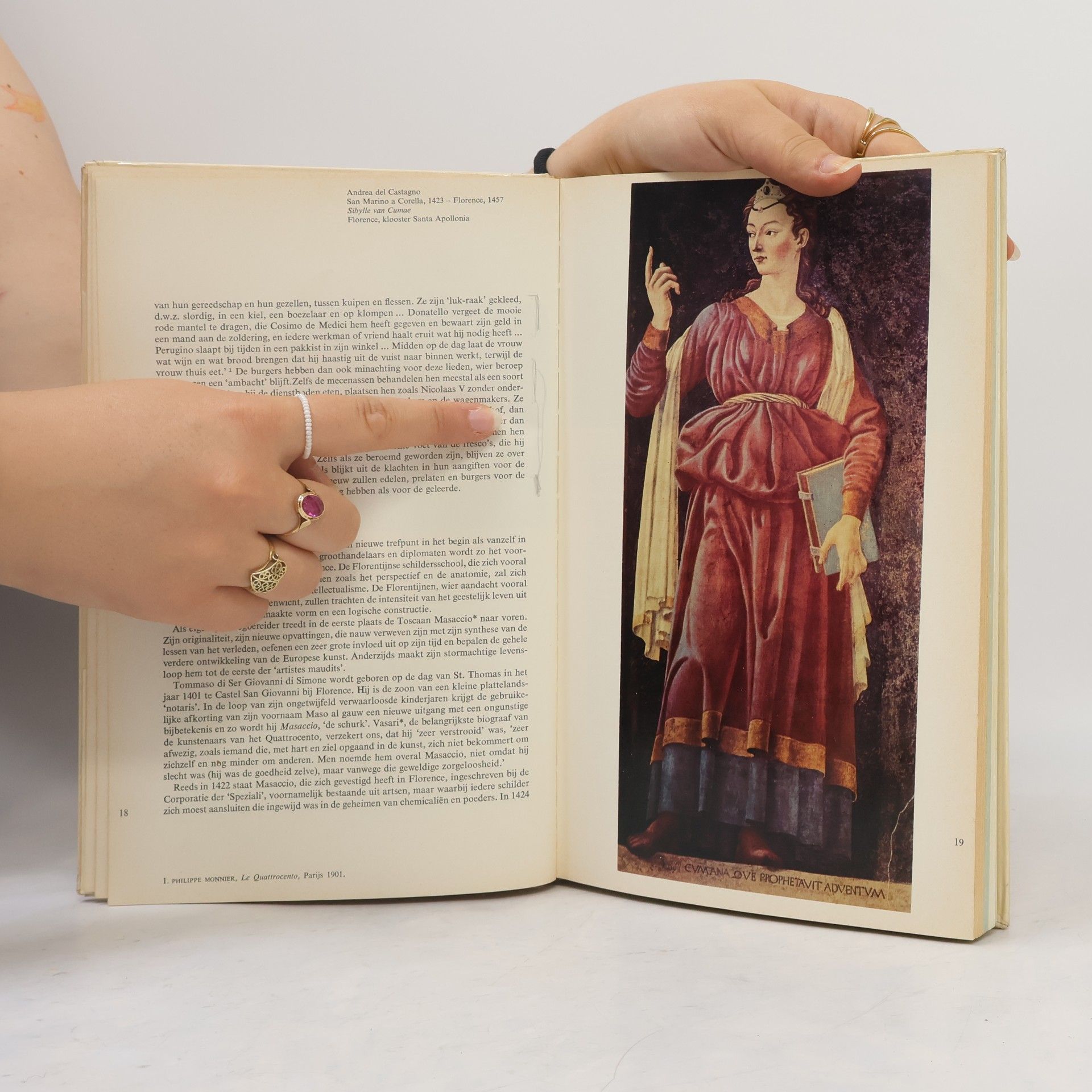 Elie-Charles Flamand De schilderkunst van de renaissance I