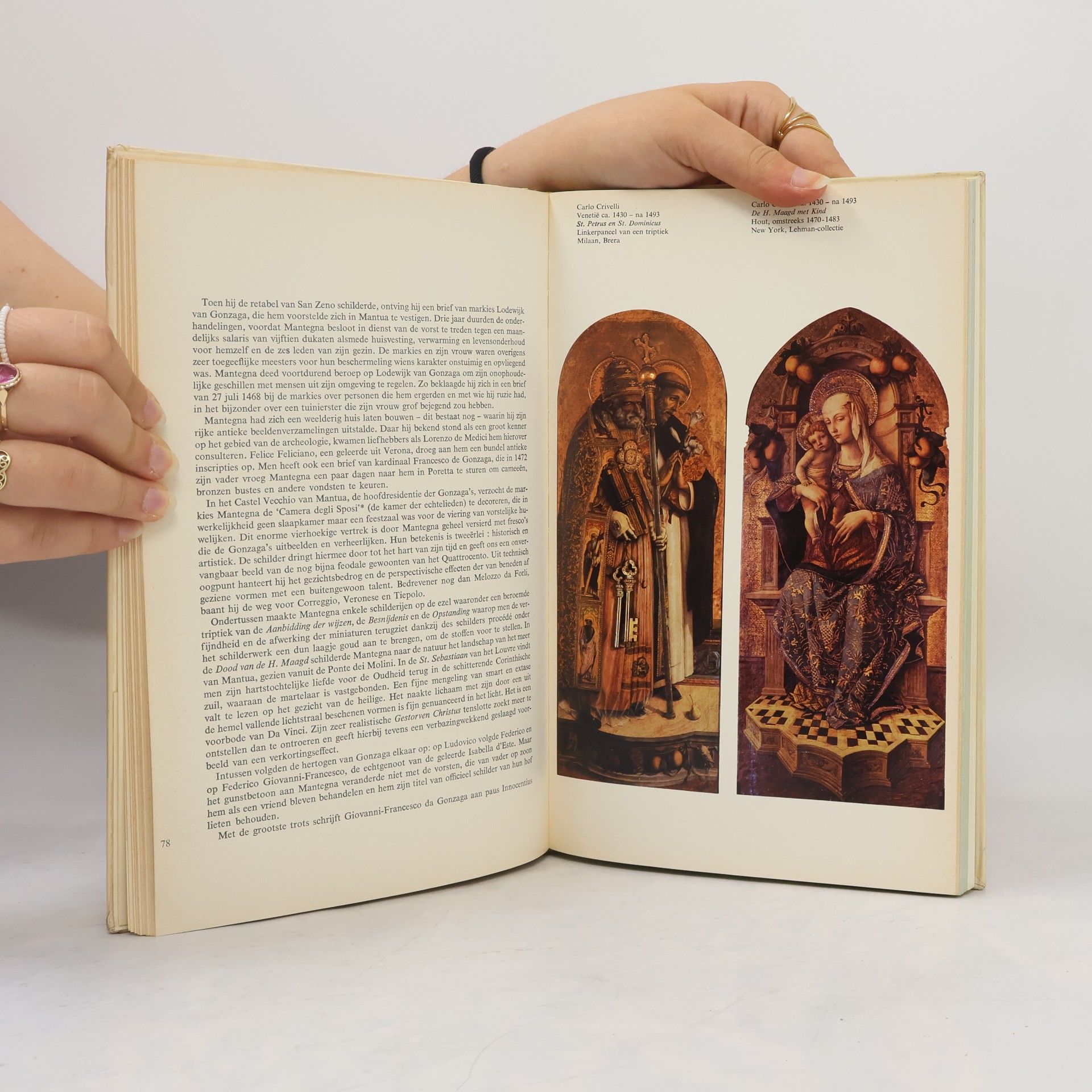Elie-Charles Flamand De schilderkunst van de renaissance I