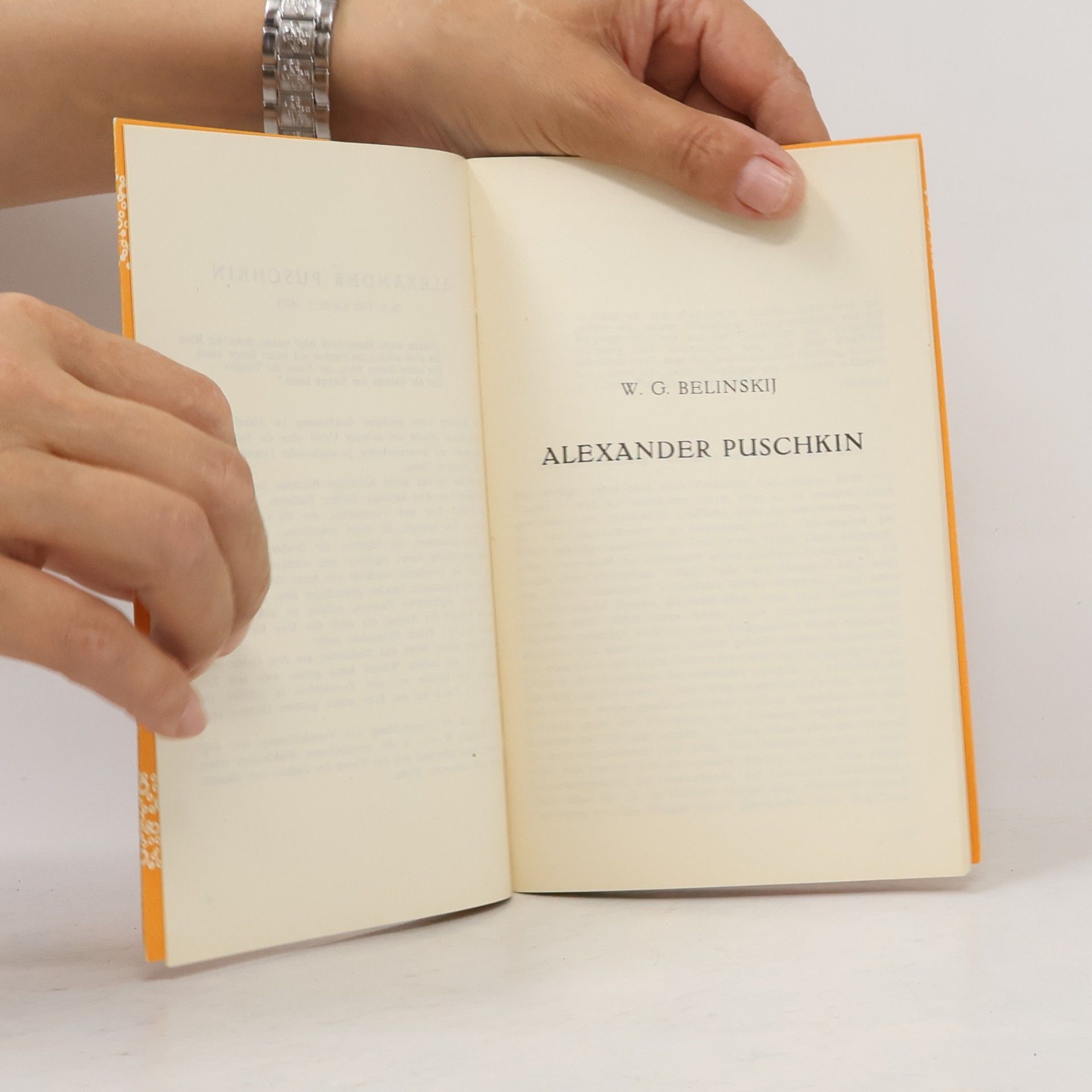 Autorenkollektiv W.G. Belinskij / M. Gorkij über Alexander Puschkin