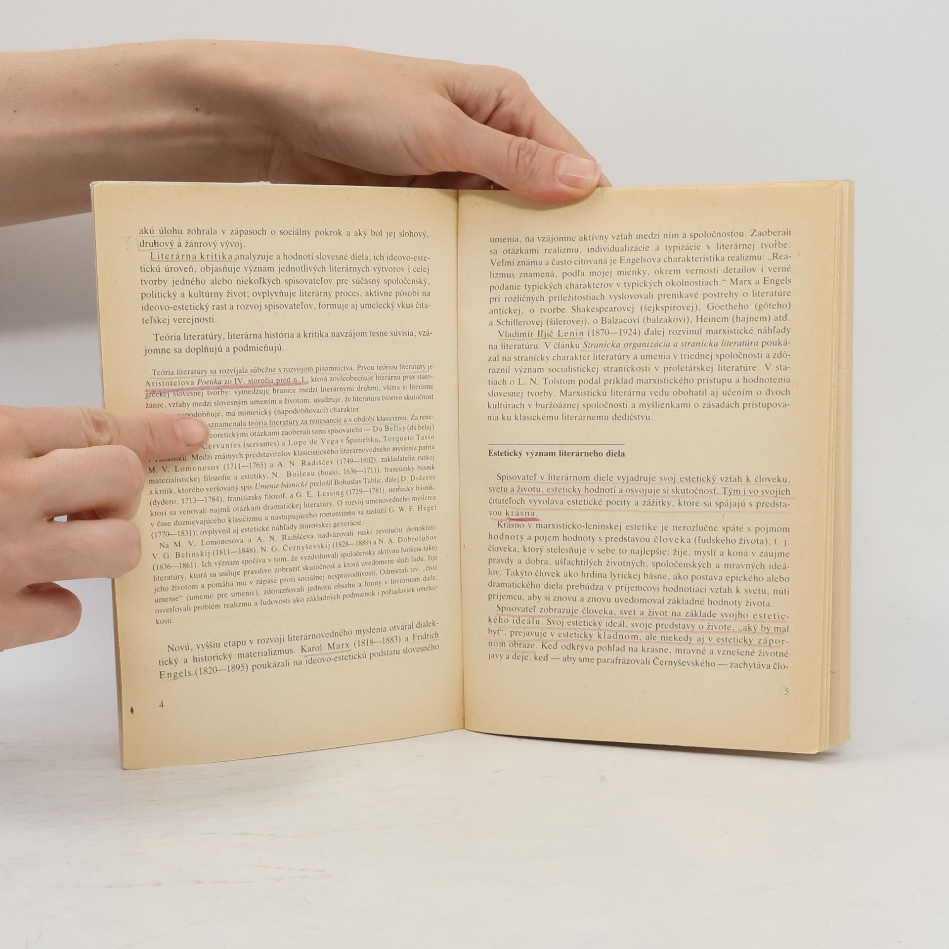 Ivan Plintovič Teória literatúry pre stredné školy