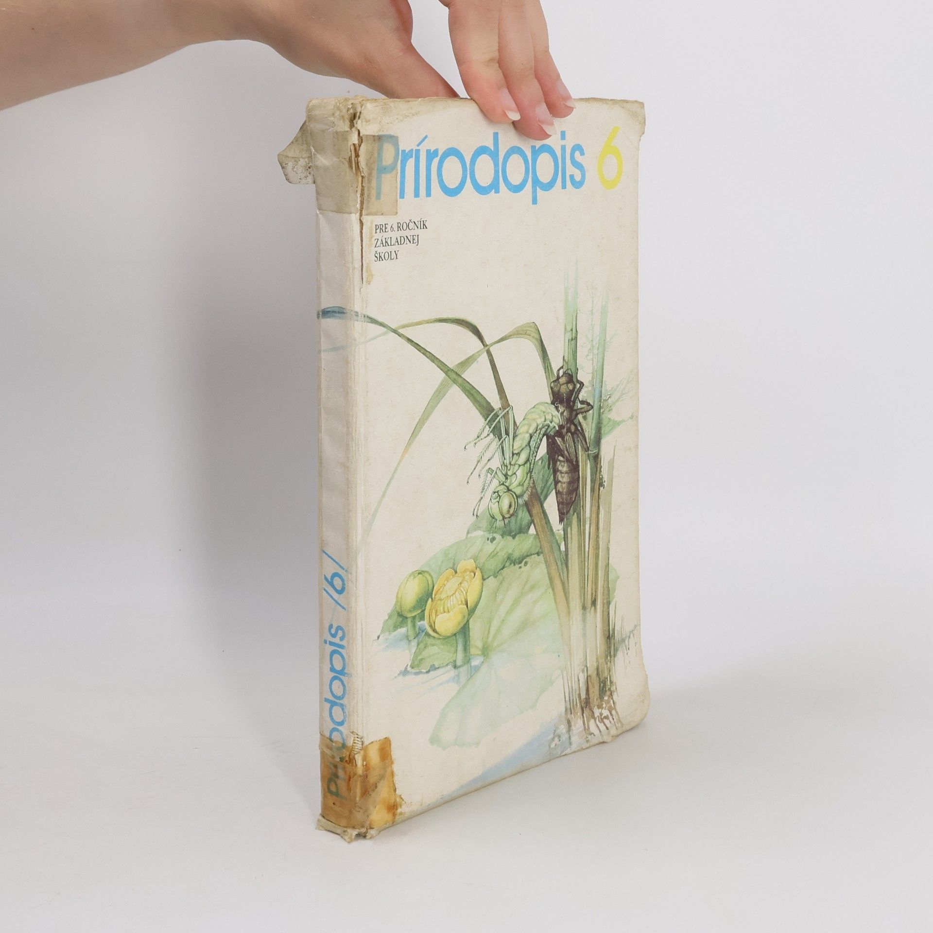 Auteurscollectief Prírodopis 6