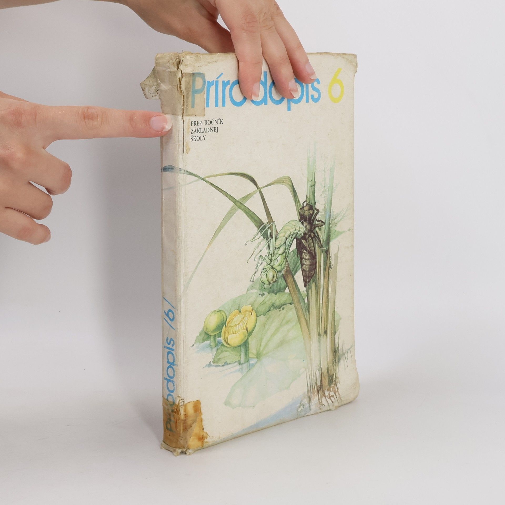 Auteurscollectief Prírodopis 6