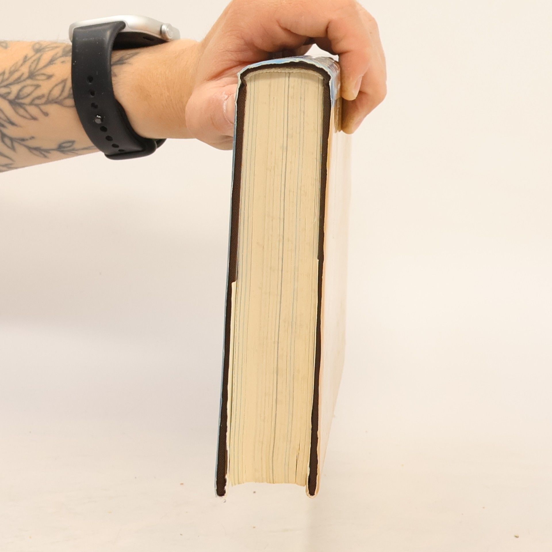 Kurt Maix Im Banne der Dachstein-Südwand