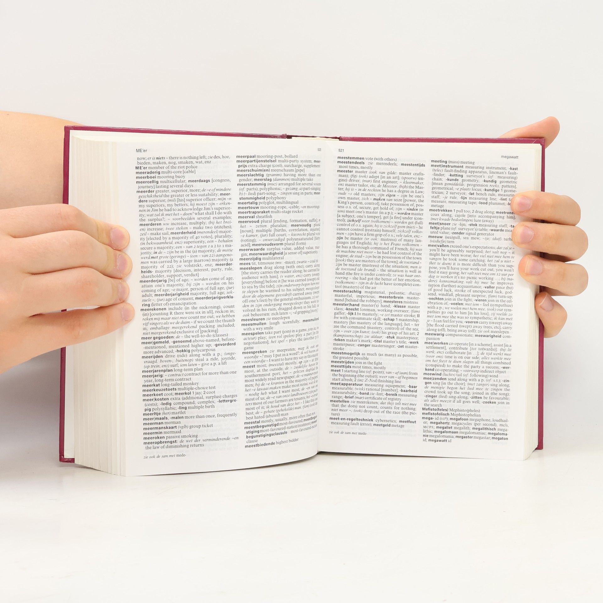 Johan Gerritsen Wolters' Handwoordenboek