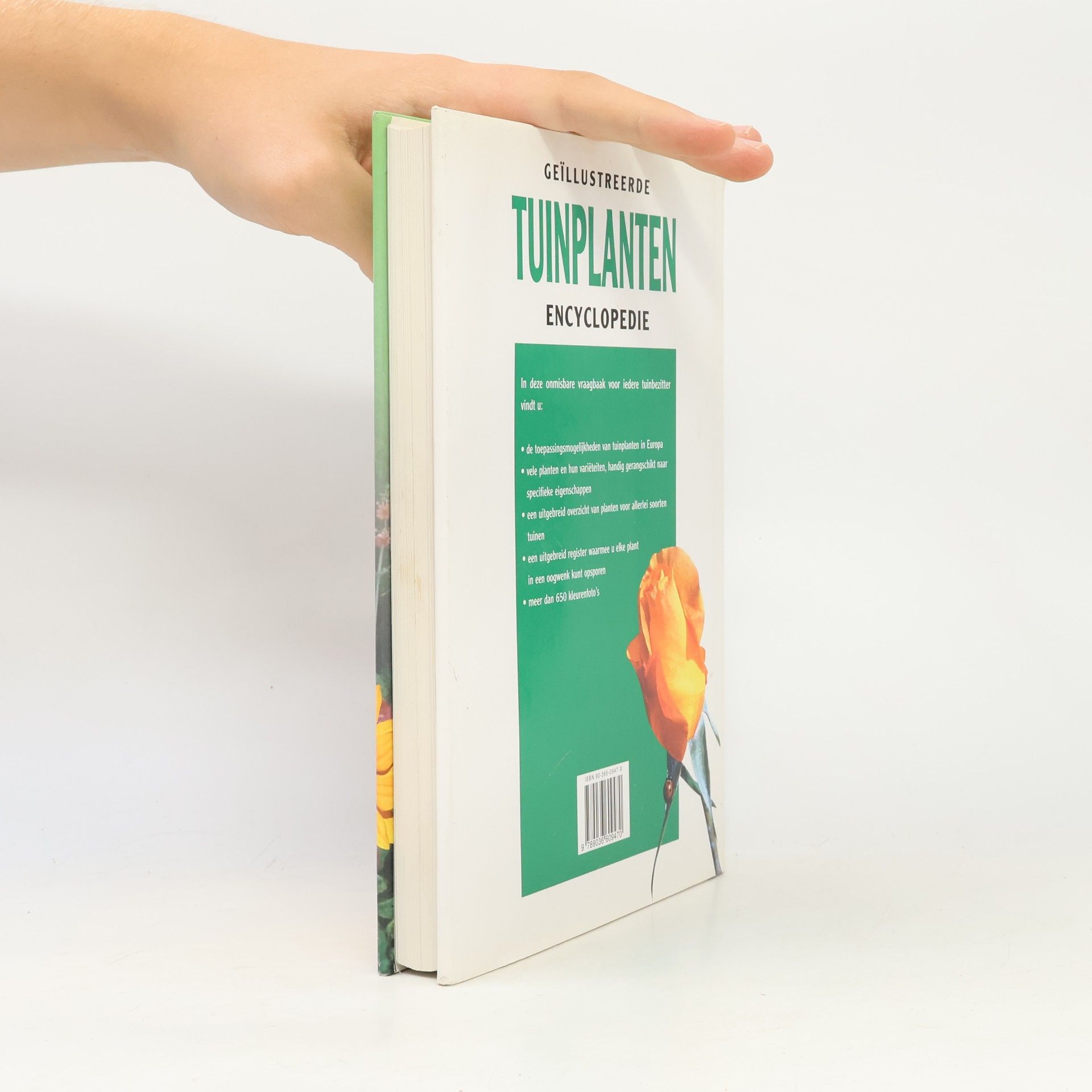 Klaas T. Noordhuis Tuinplanten encyclopedie