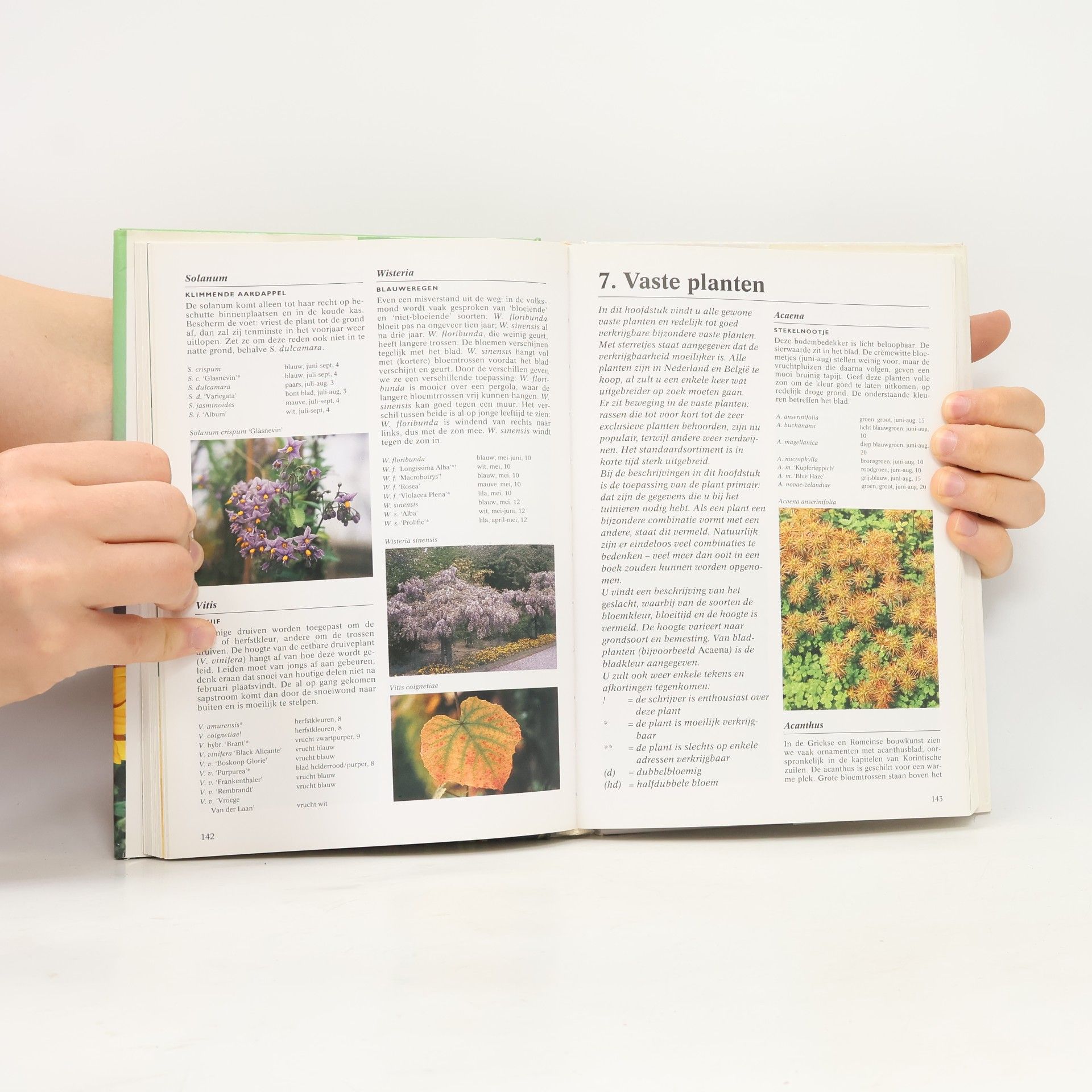 Klaas T. Noordhuis Tuinplanten encyclopedie