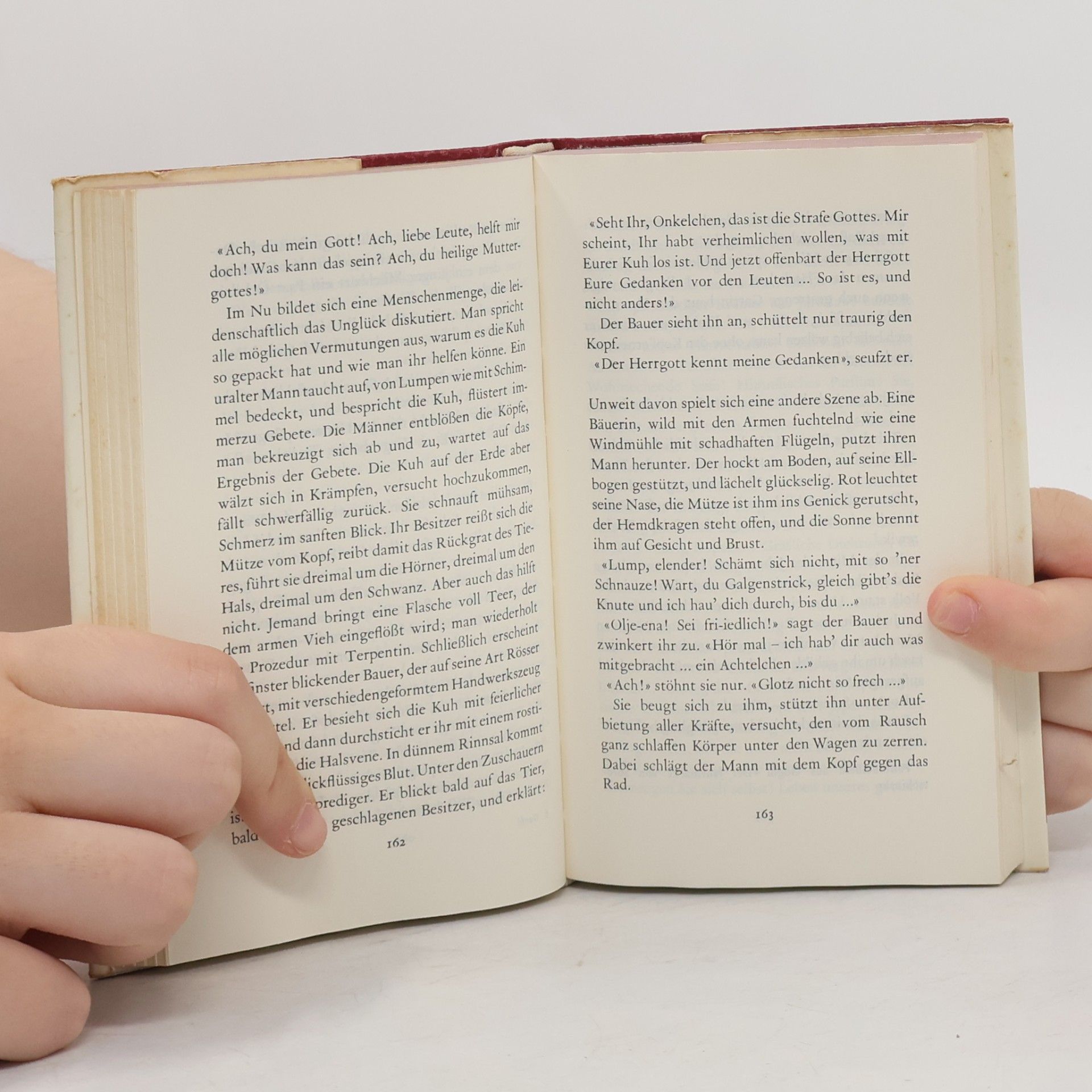 Maxim Gorky Meisternovellen