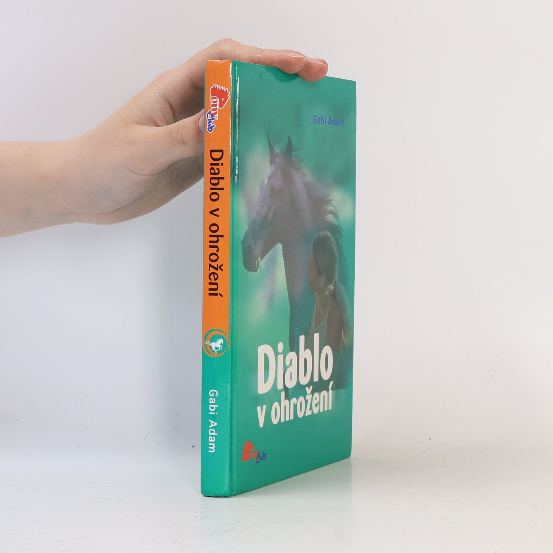 Gabi Adam Diablo v ohrožení. Diablo 2