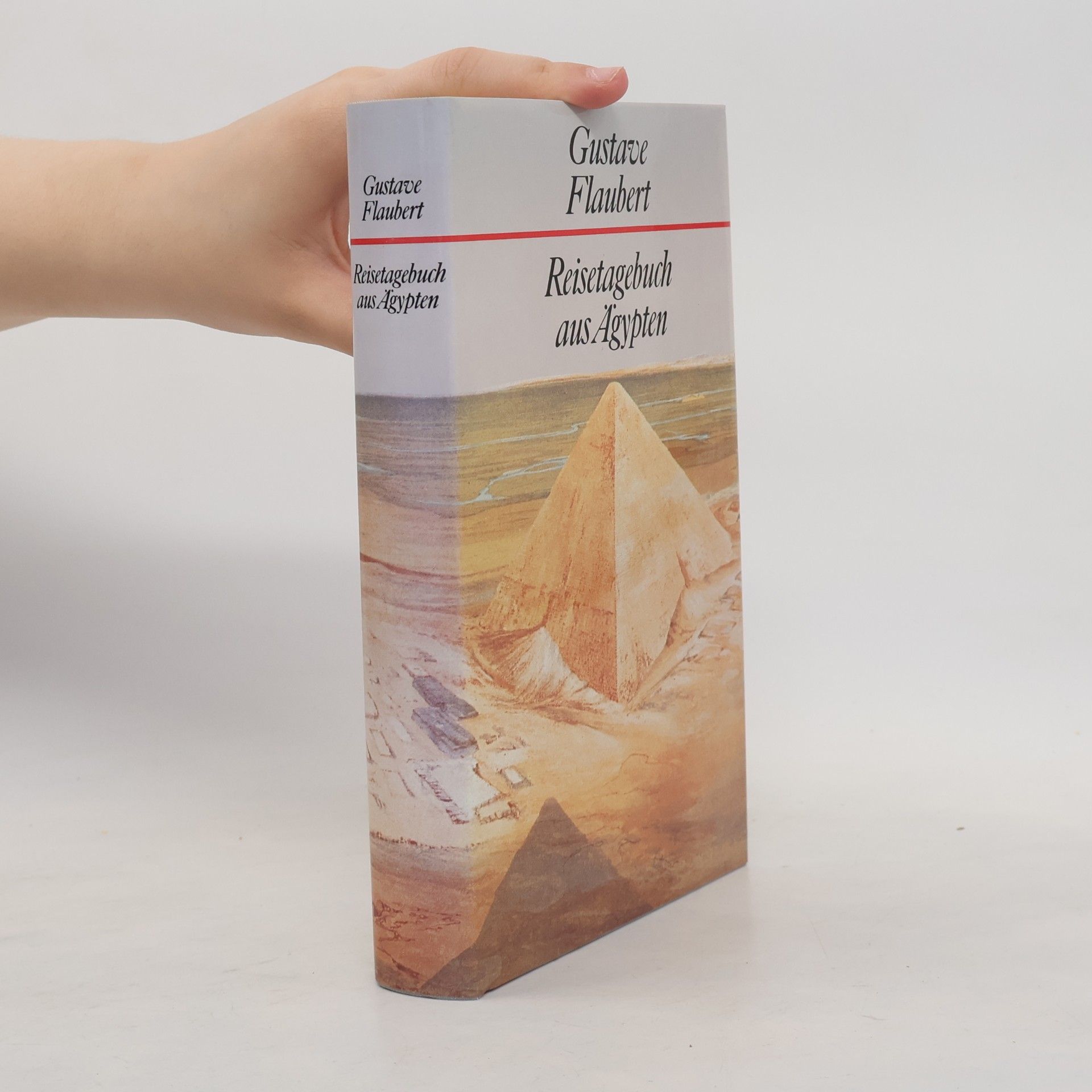 Gustave Flaubert Reisetagebuch aus Ägypten