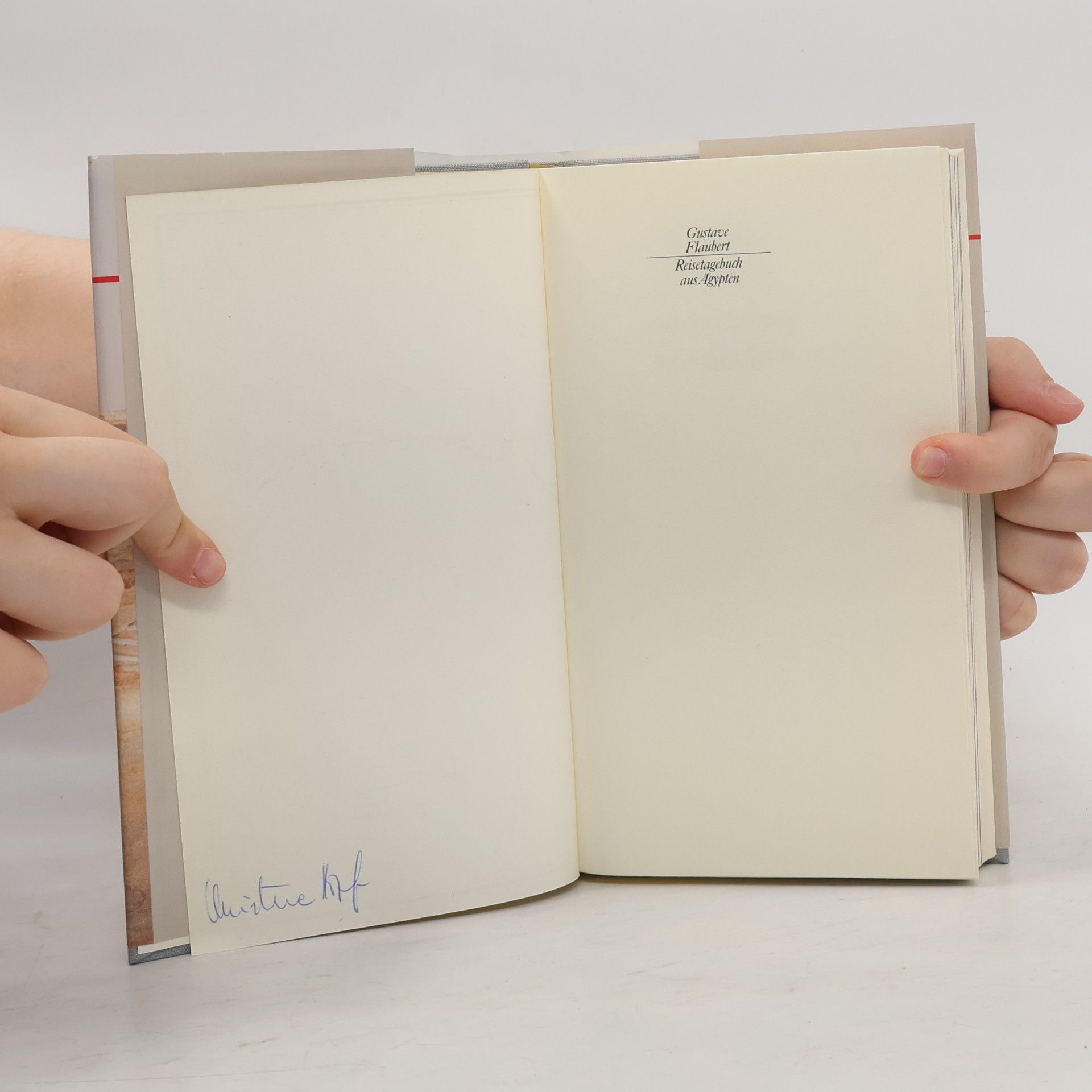 Gustave Flaubert Reisetagebuch aus Ägypten