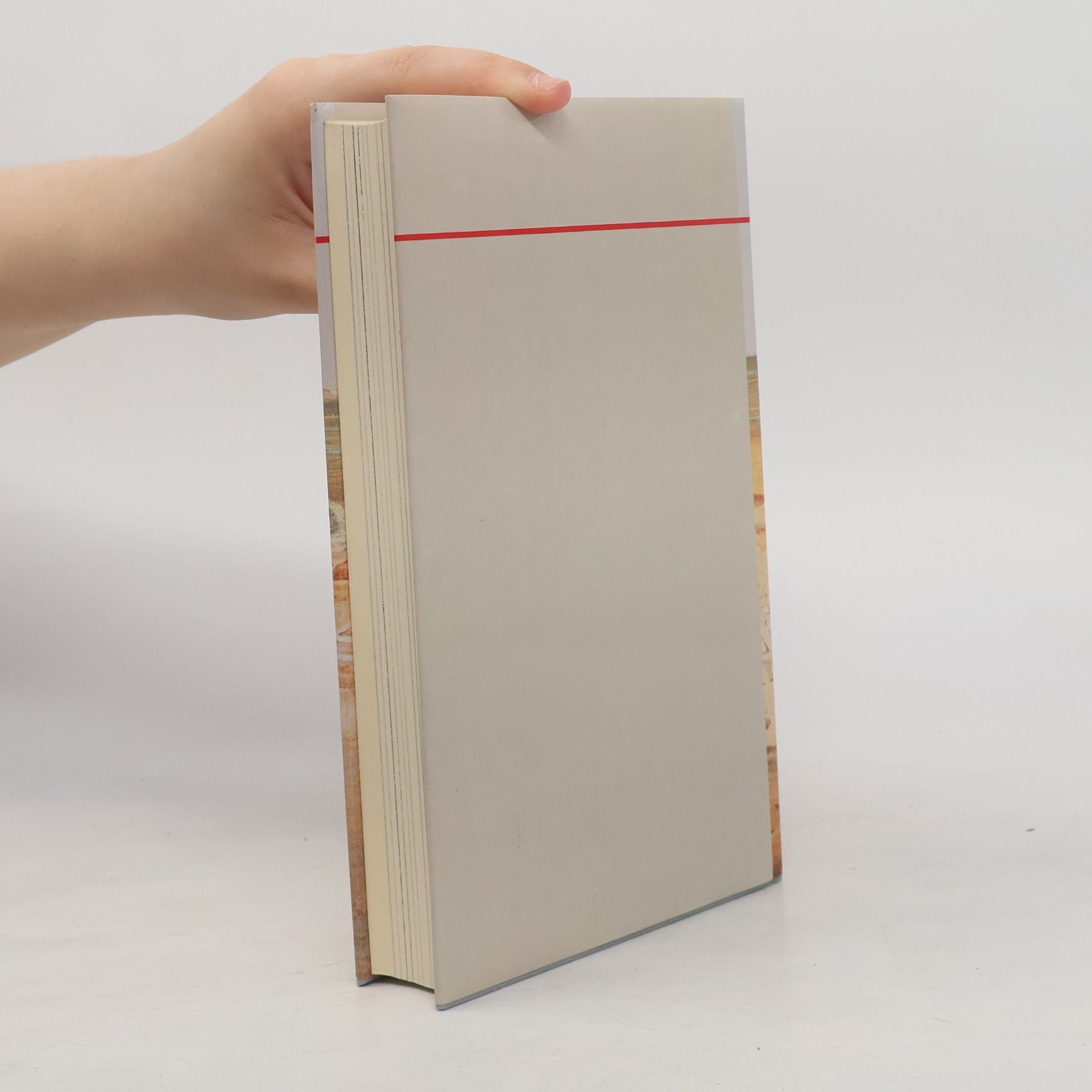 Gustave Flaubert Reisetagebuch aus Ägypten