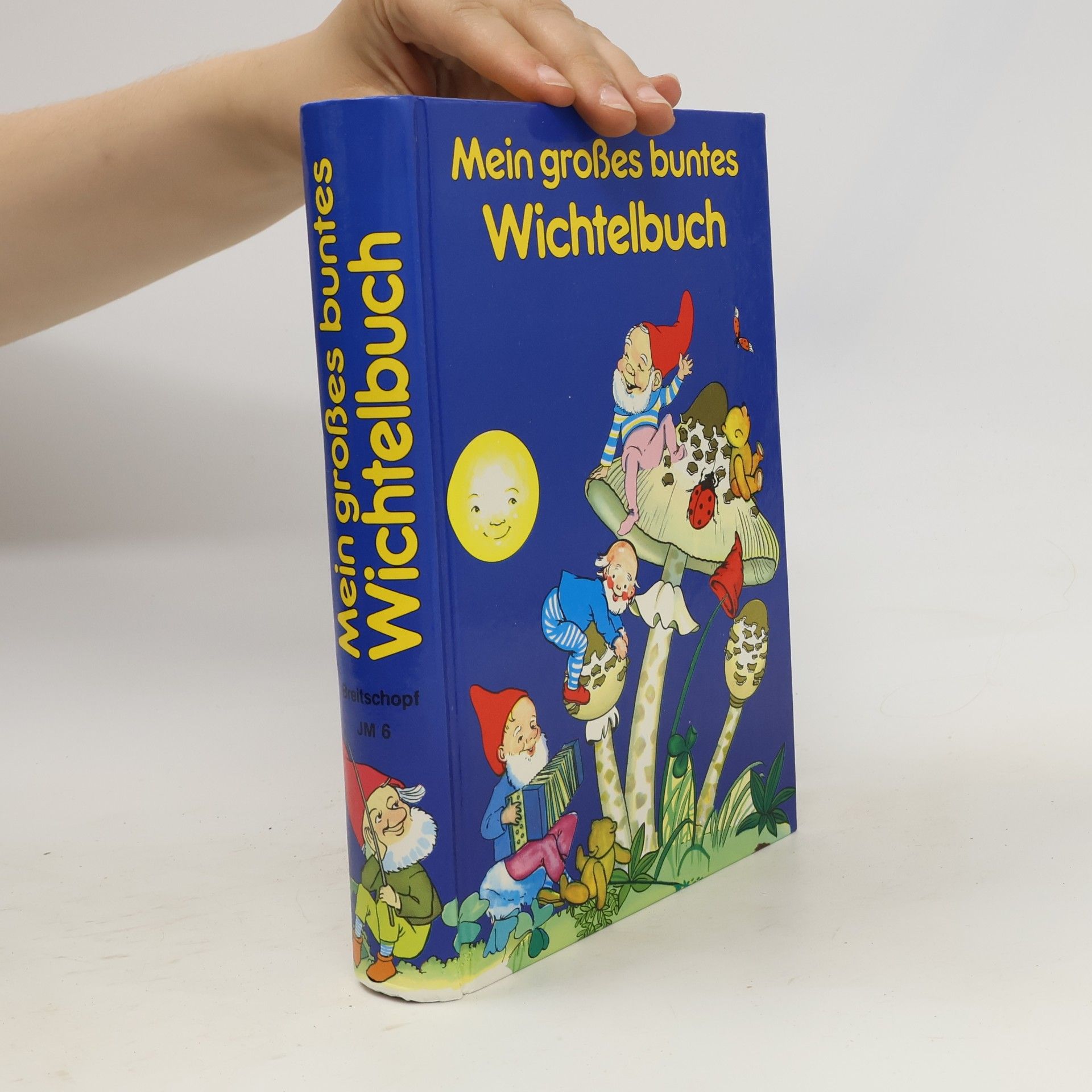 Autorenkollektiv Mein großes buntes Wichtelbuch