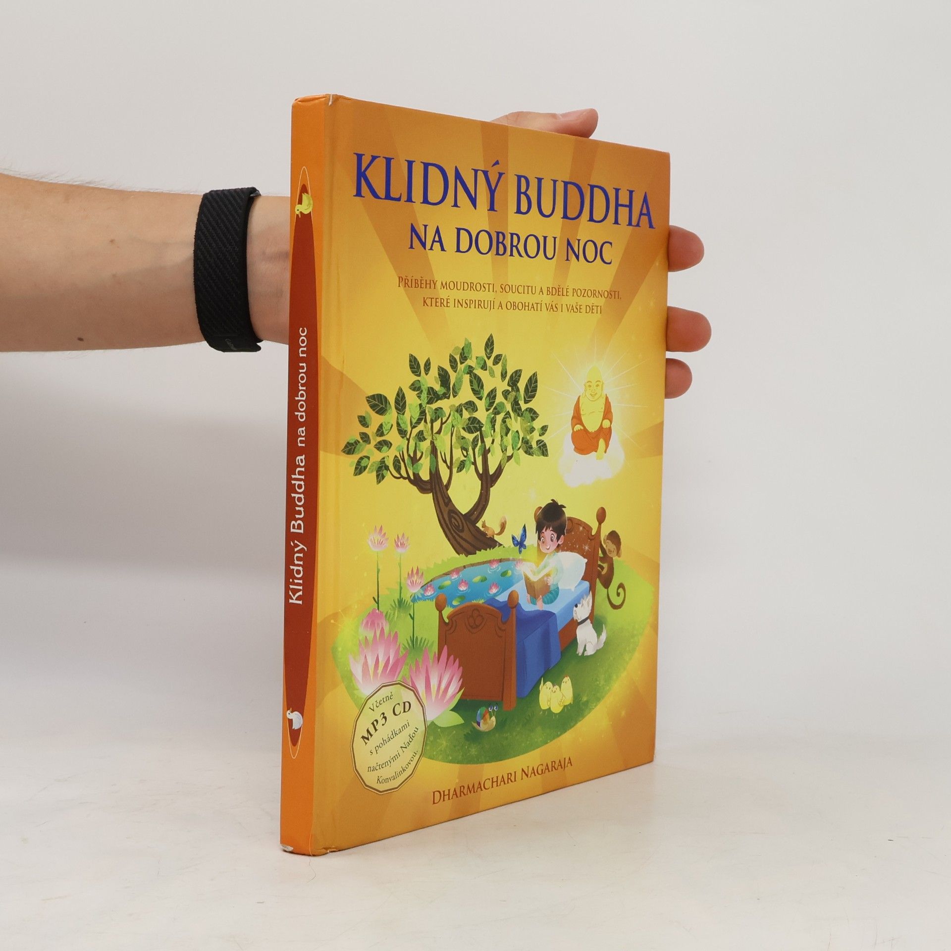 Petra Vlčková Klidný Buddha na dobrou noc.