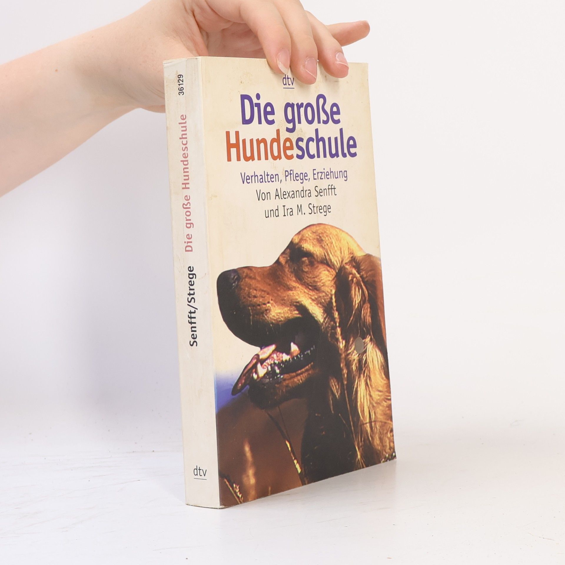 Ira M. Strege Die große Hundeschule