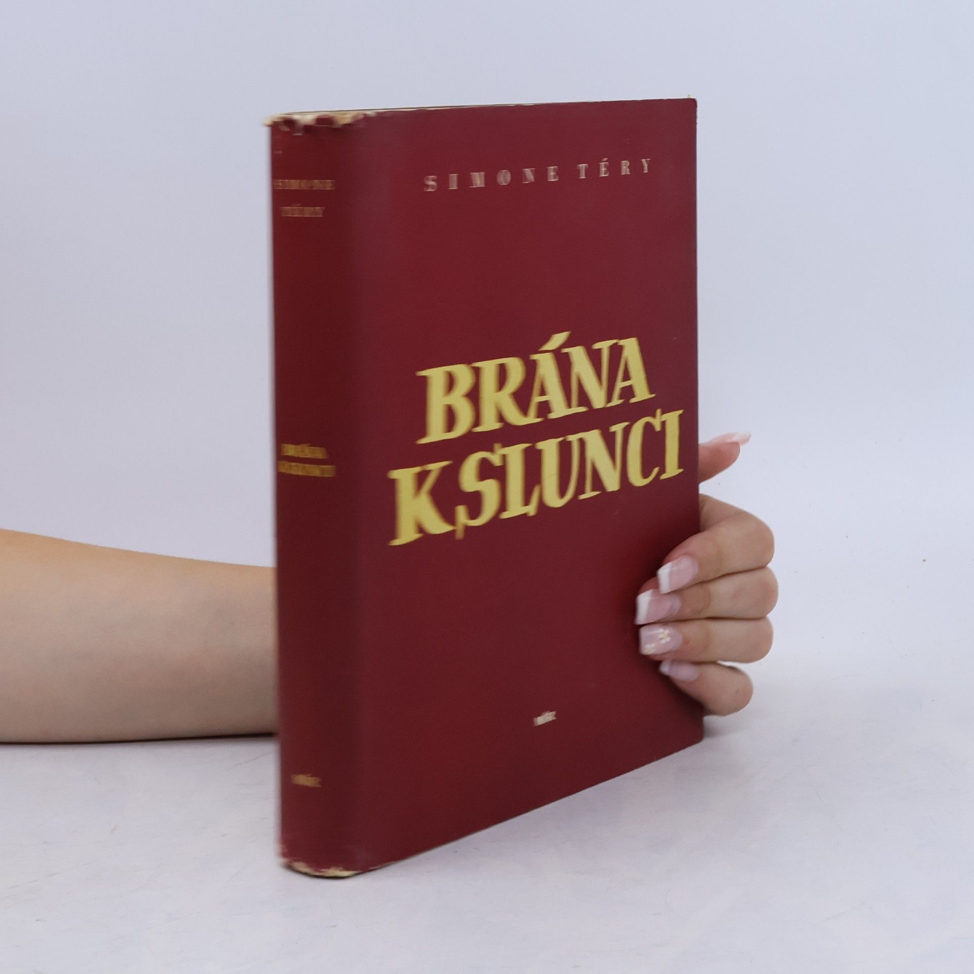 Simone Téry Brána k slunci
