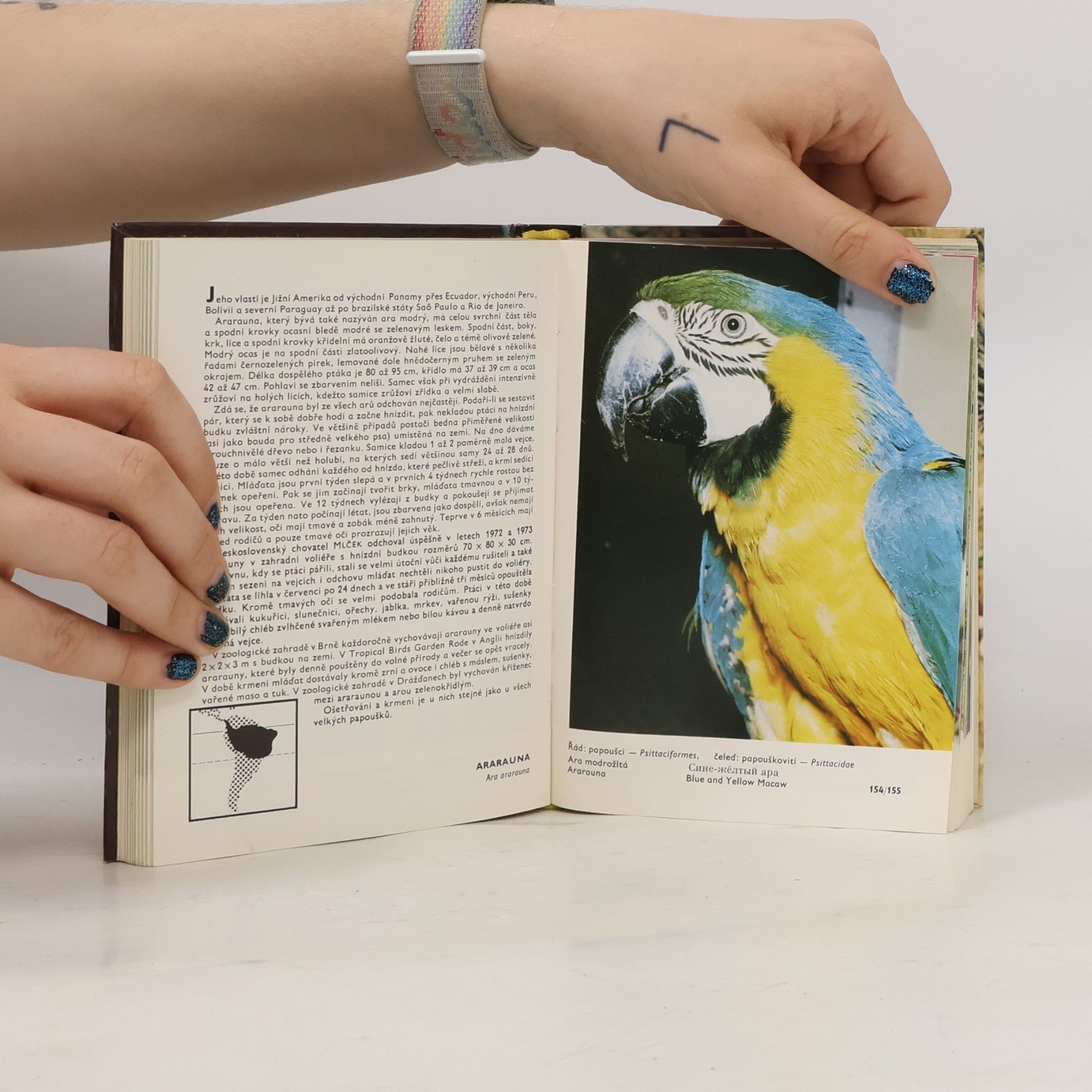 Zdeněk Veger Kapesní atlas cizokrajných ptáků