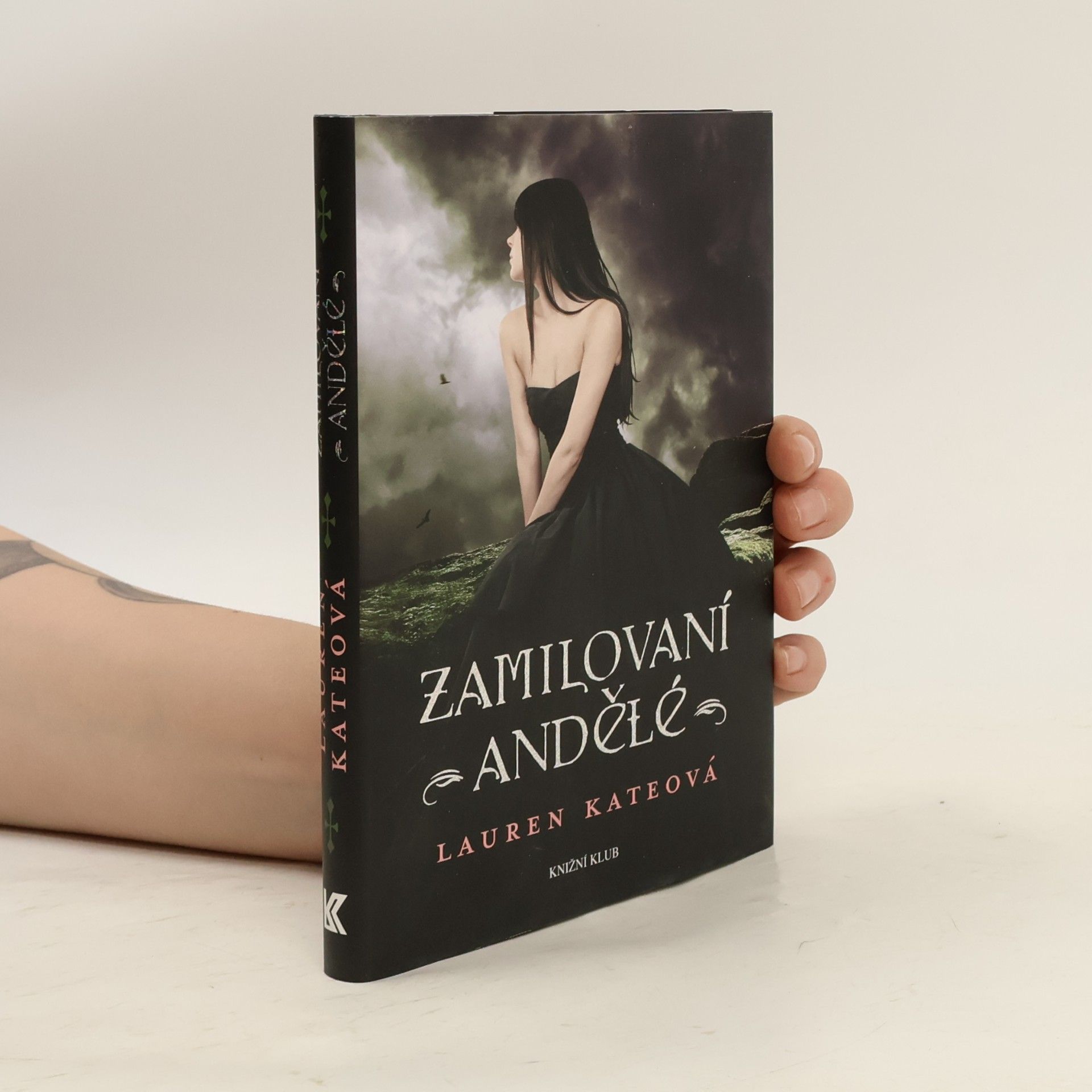Lauren Kate Zamilovaní andělé