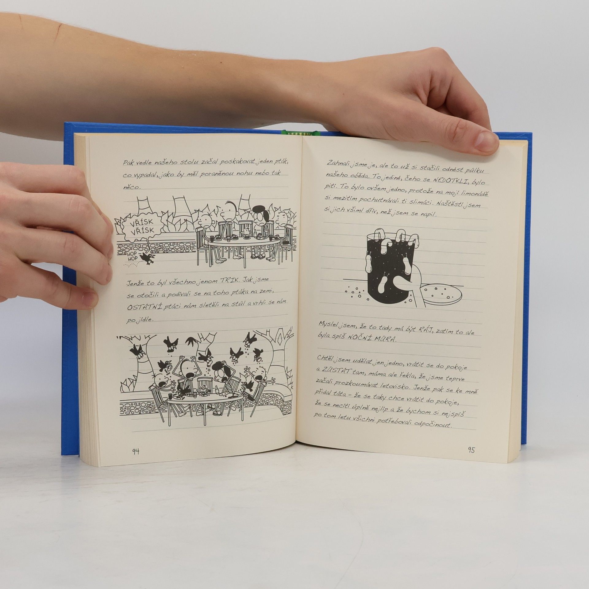 Jeff Kinney Deník malého poseroutky 12. Výprava za teplem