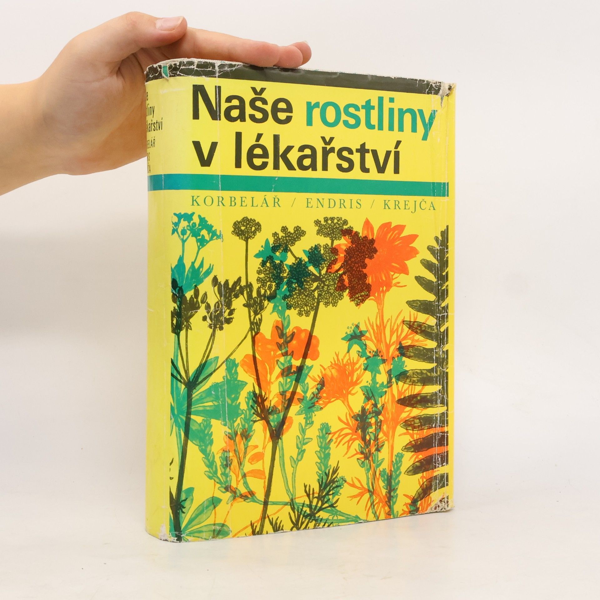Jaroslav Korbelář Naše rostliny v lékařství