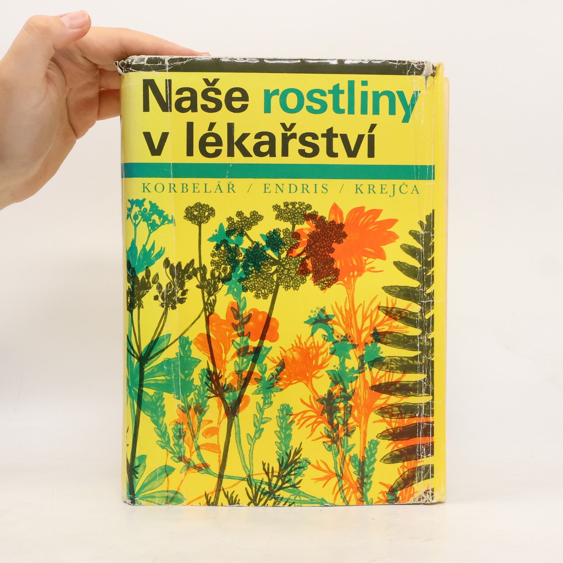 Jaroslav Korbelář Naše rostliny v lékařství