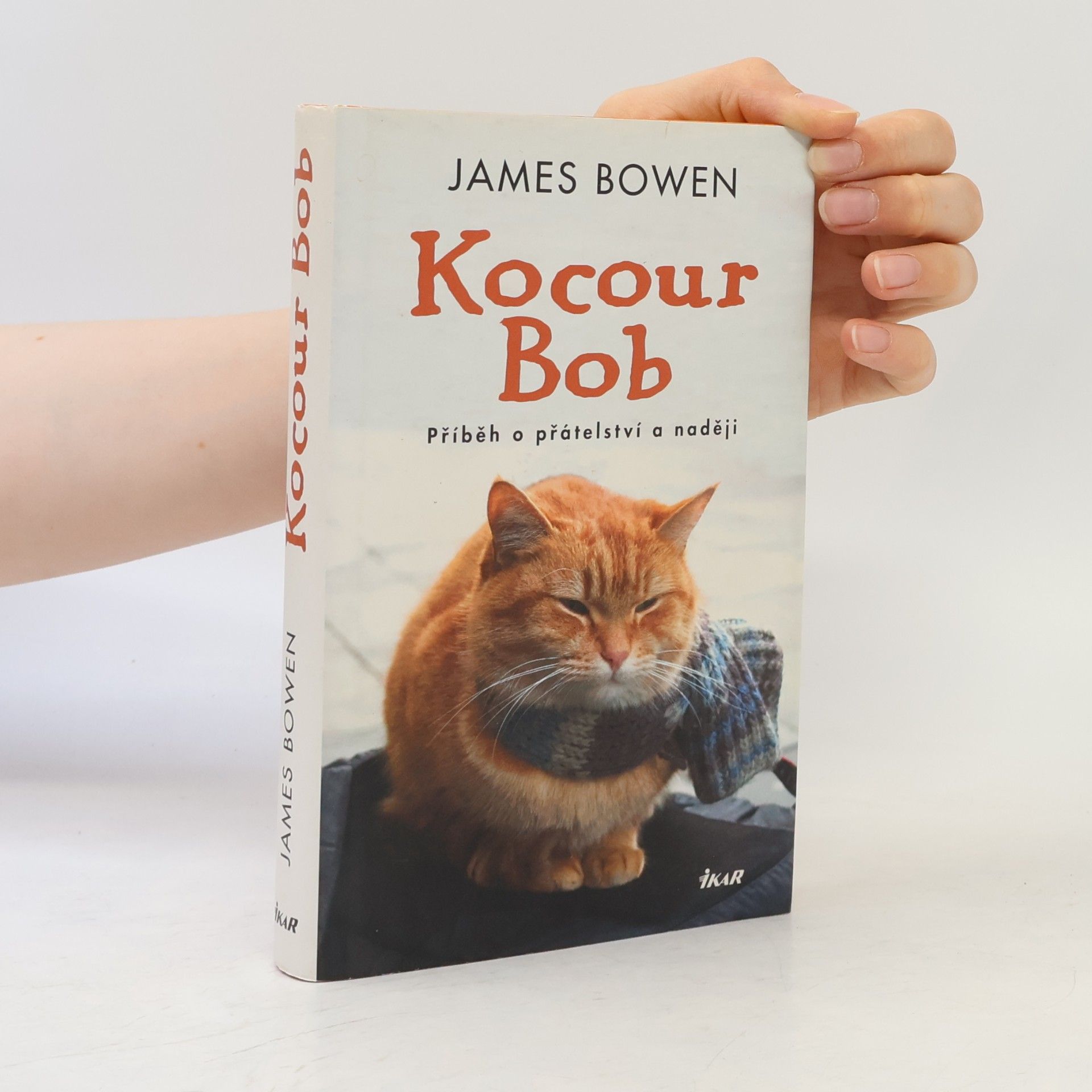 James Bowen Kocour Bob