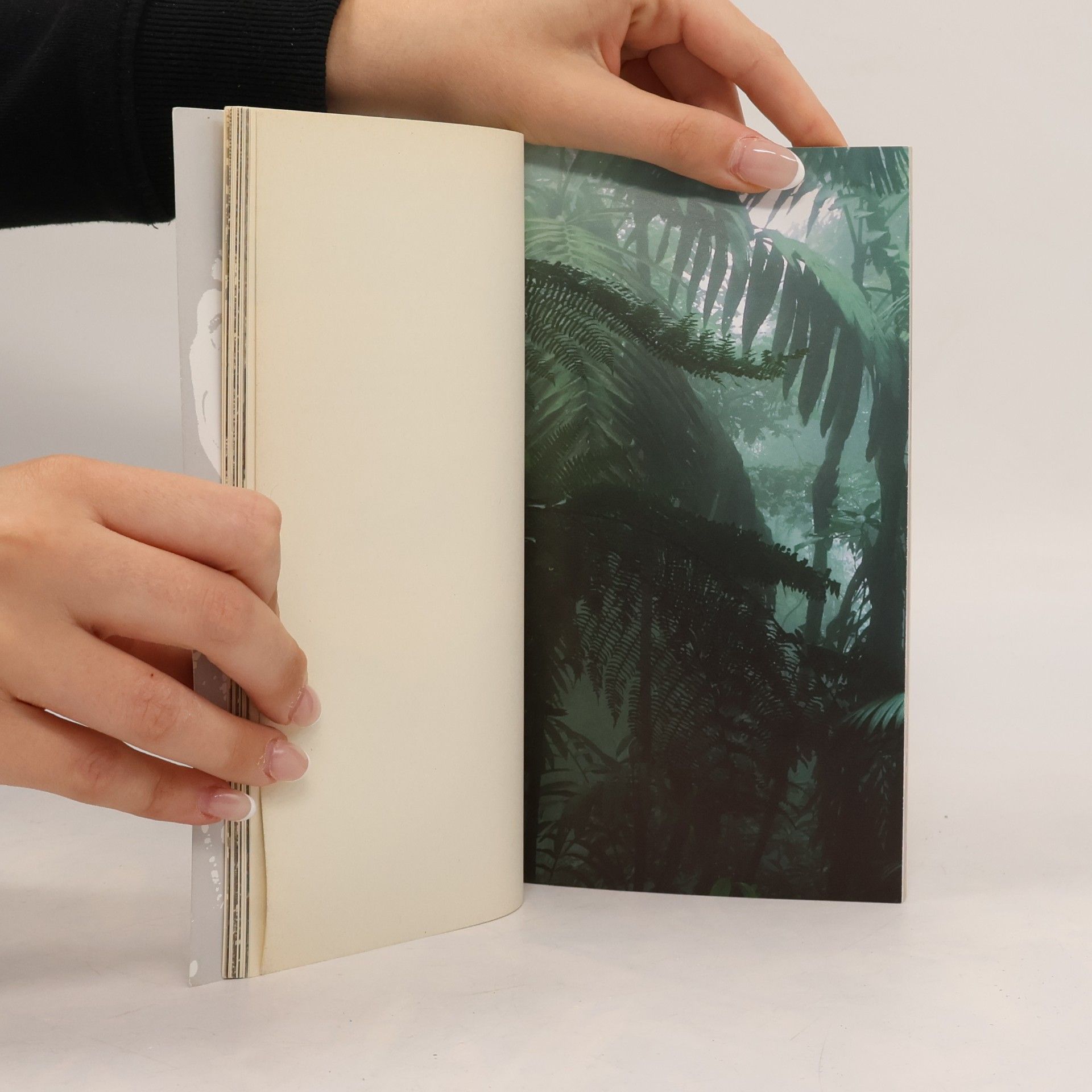 Jules Verne Tajemství pralesa aneb 800 mil na jangadě Amazonkou