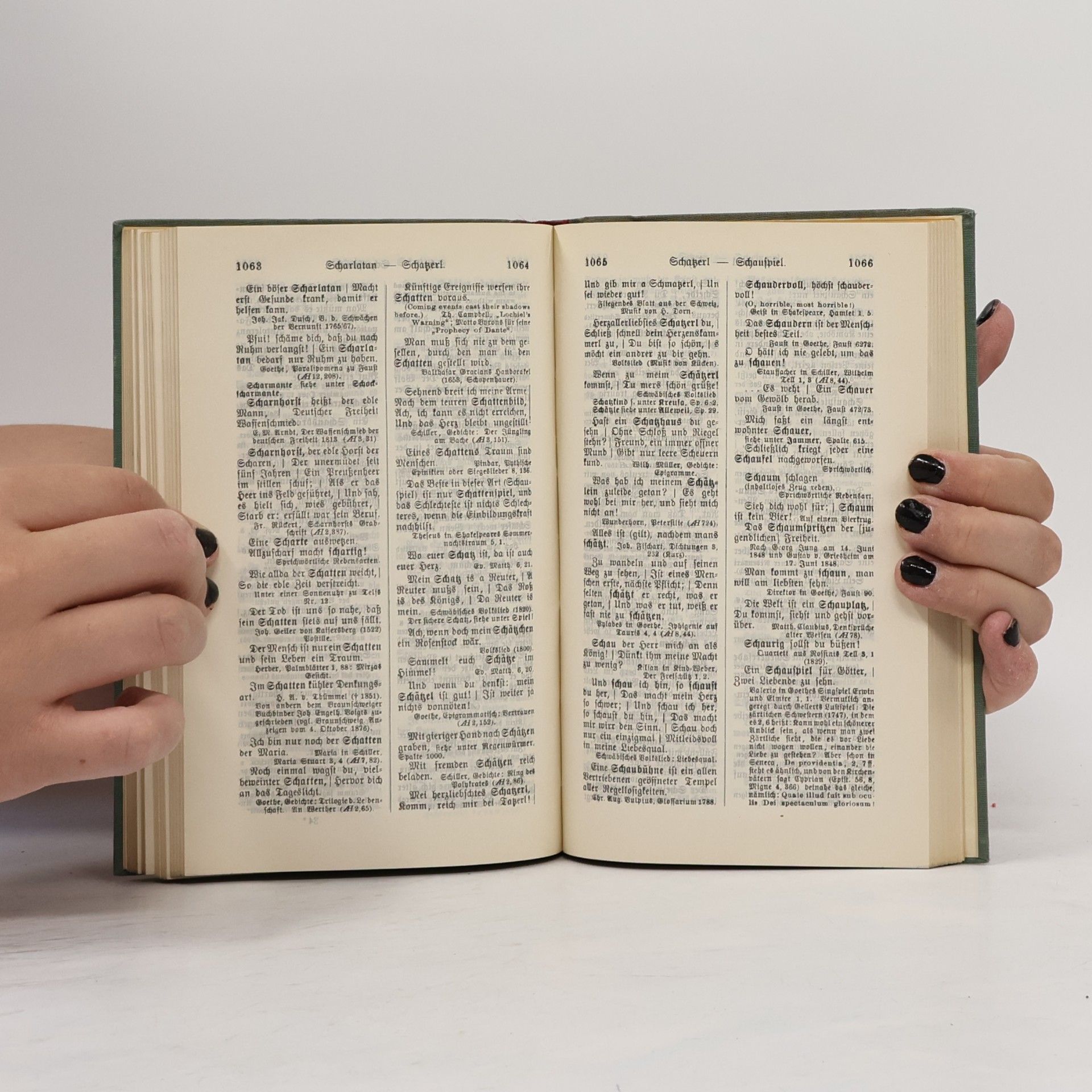 Autorenkollektiv Zoozmanns Zitatenschatz der Weltliteratur.