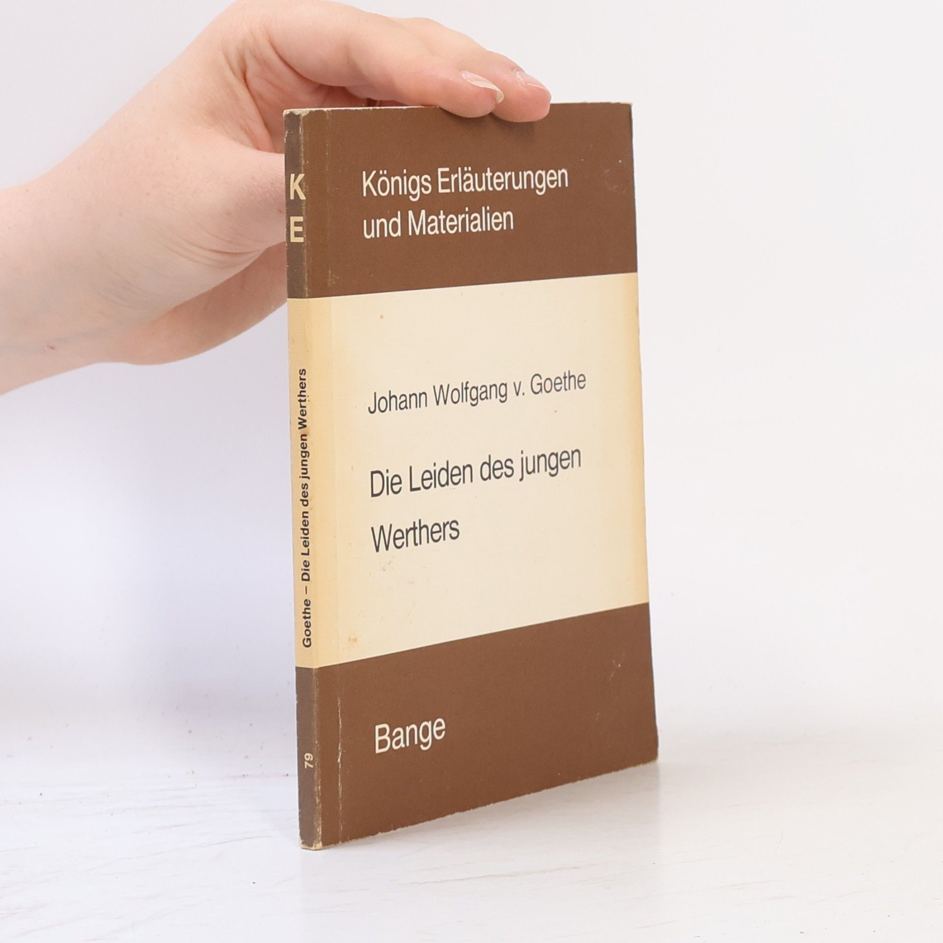 Eva Brinckschulte Erläuterungen zu Johann Wolfgang v. Goethe, Die Leiden des jungen Werthers