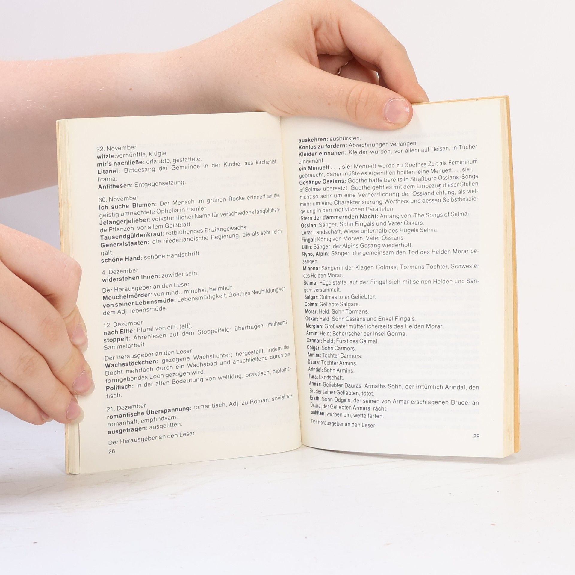 Eva Brinckschulte Erläuterungen zu Johann Wolfgang v. Goethe, Die Leiden des jungen Werthers