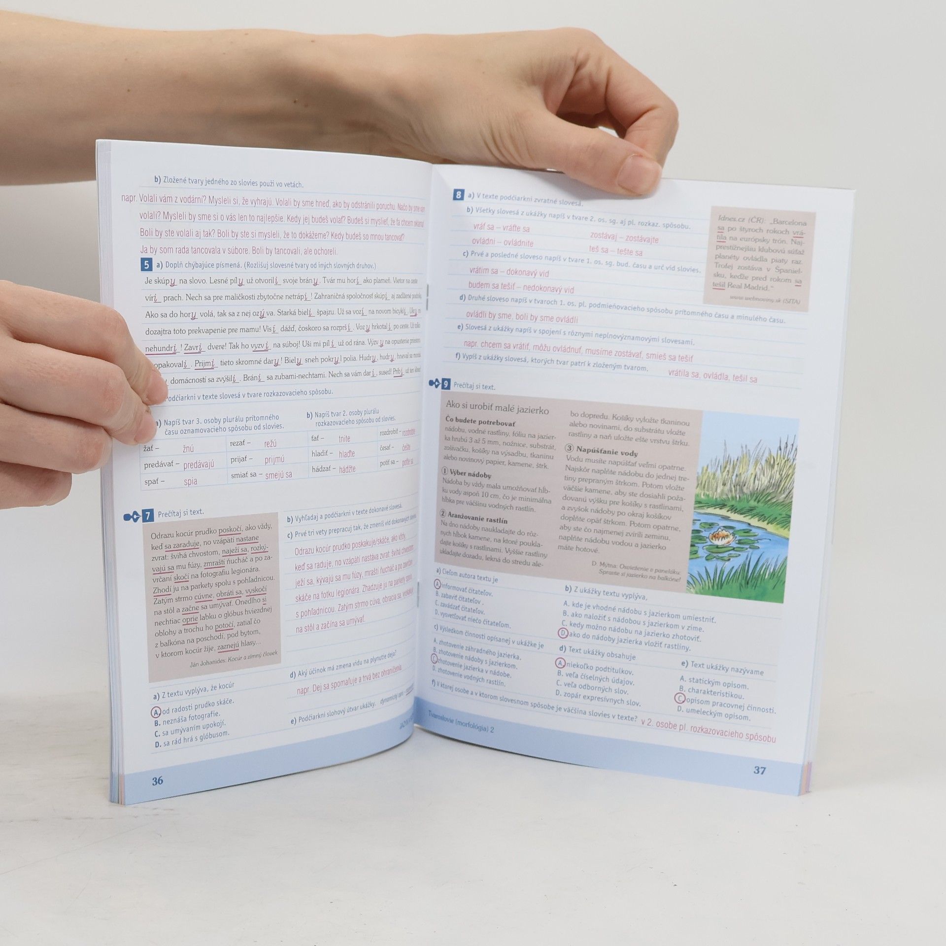 Autorenkollektiv Príprava testovanie 9. Slovenský jazyk a literatúra pre 9. ročník ZŠ
