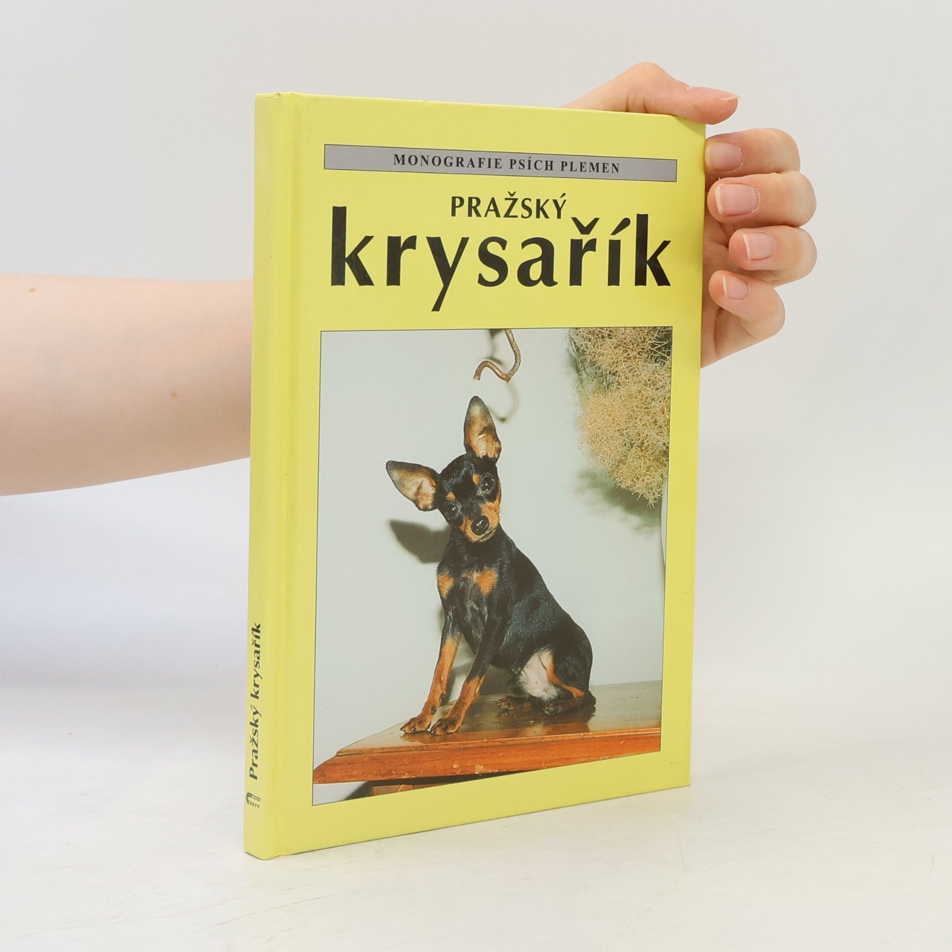 Cyrila Karpfová Pražský krysařík