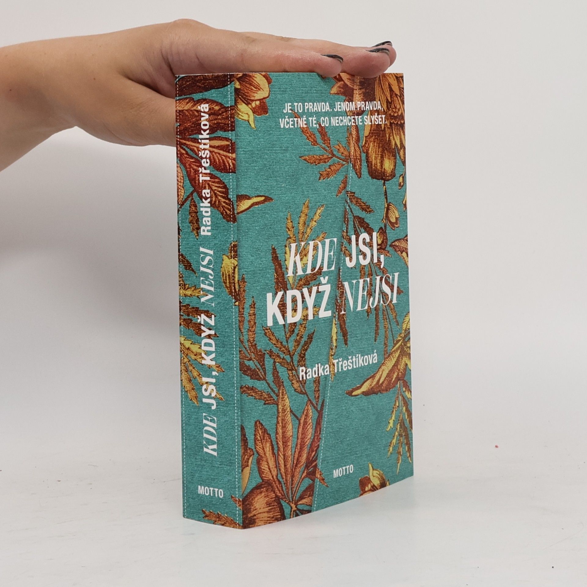 Radka Třeštíková Kde jsi, když nejsi