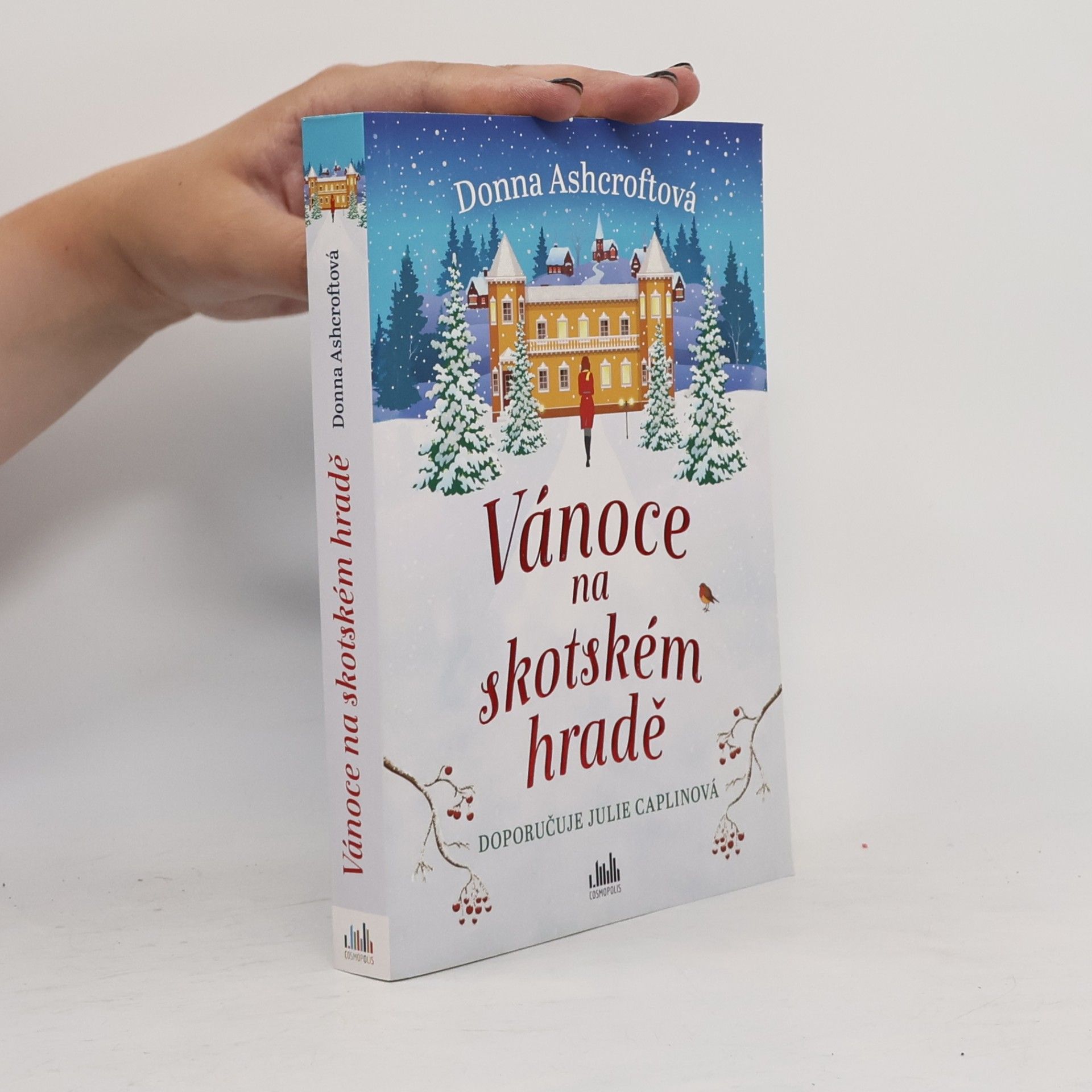 Donna Ashcroft Vánoce na skotském hradě