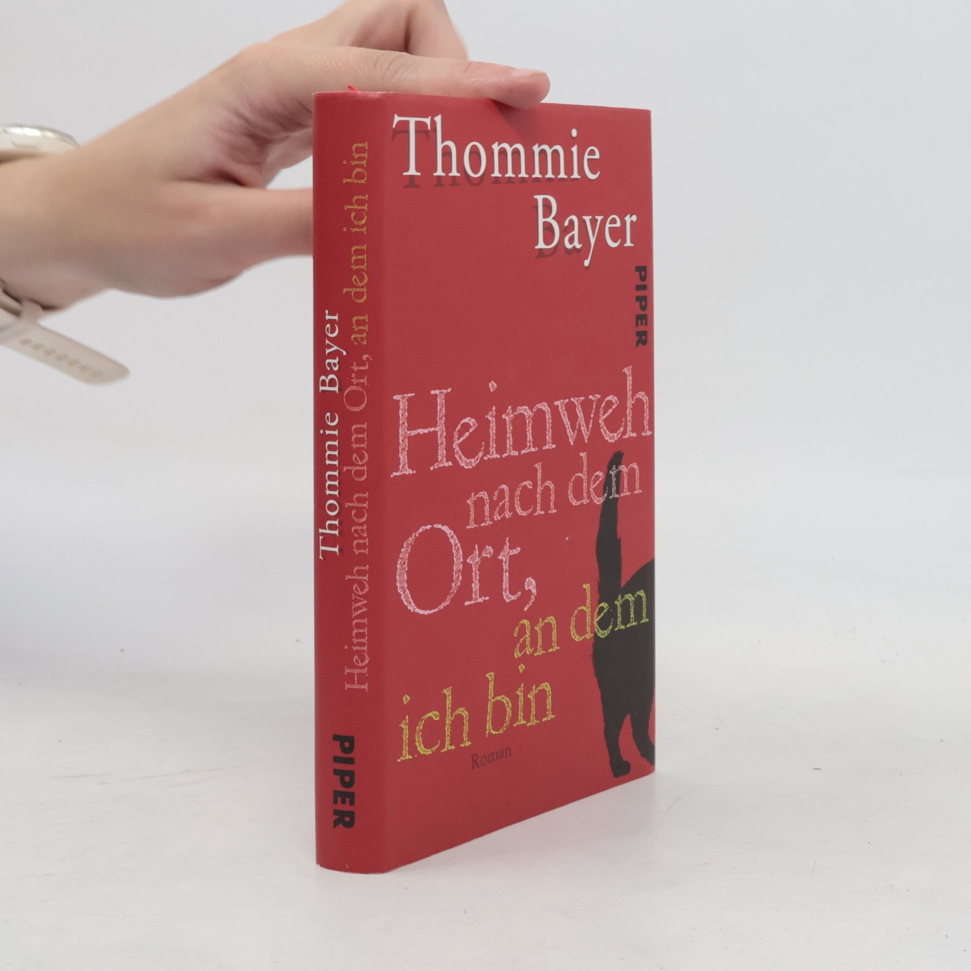 Thommie Bayer Heimweh nach dem Ort, an dem ich bin