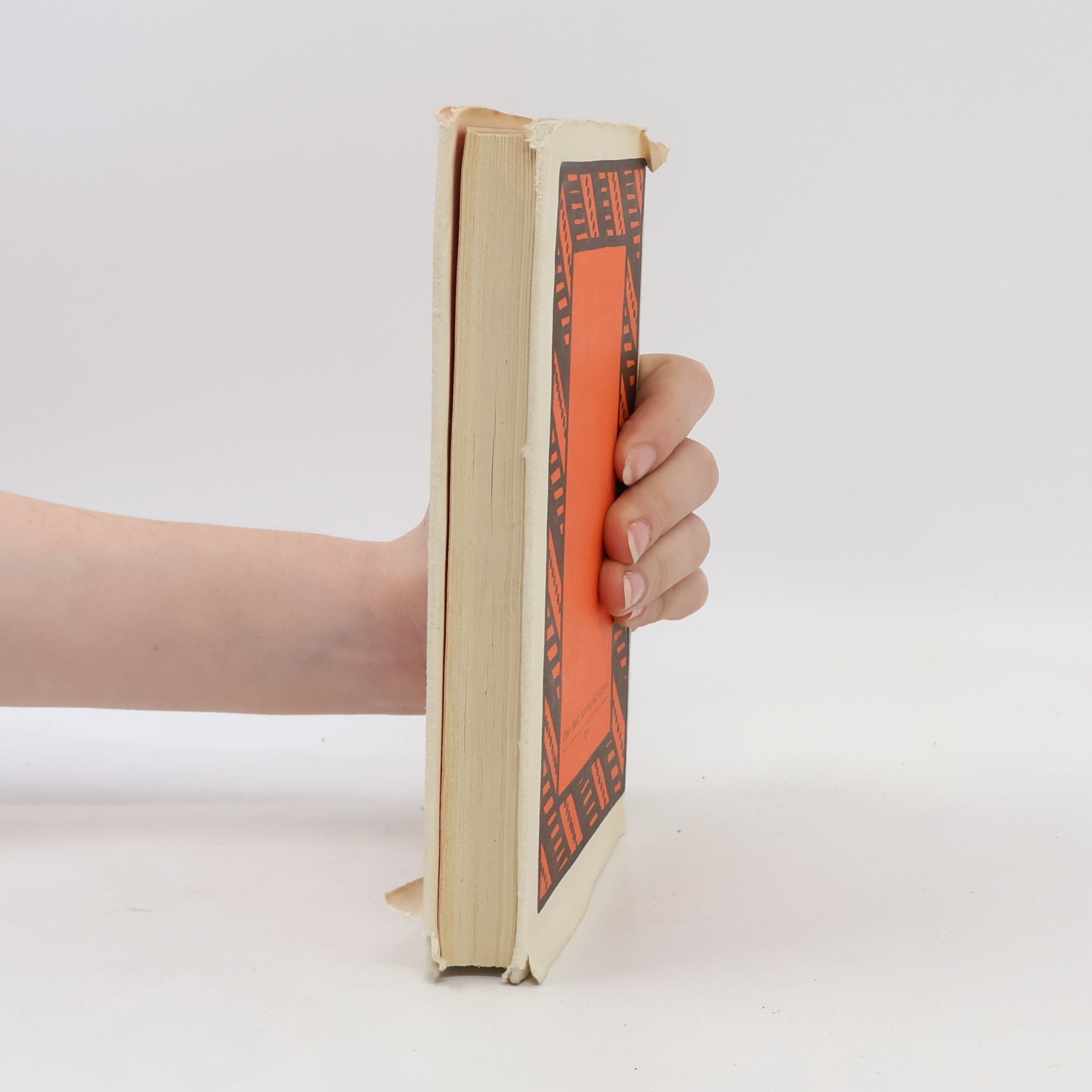 Ernest Hemingway Sbohem, armádo!