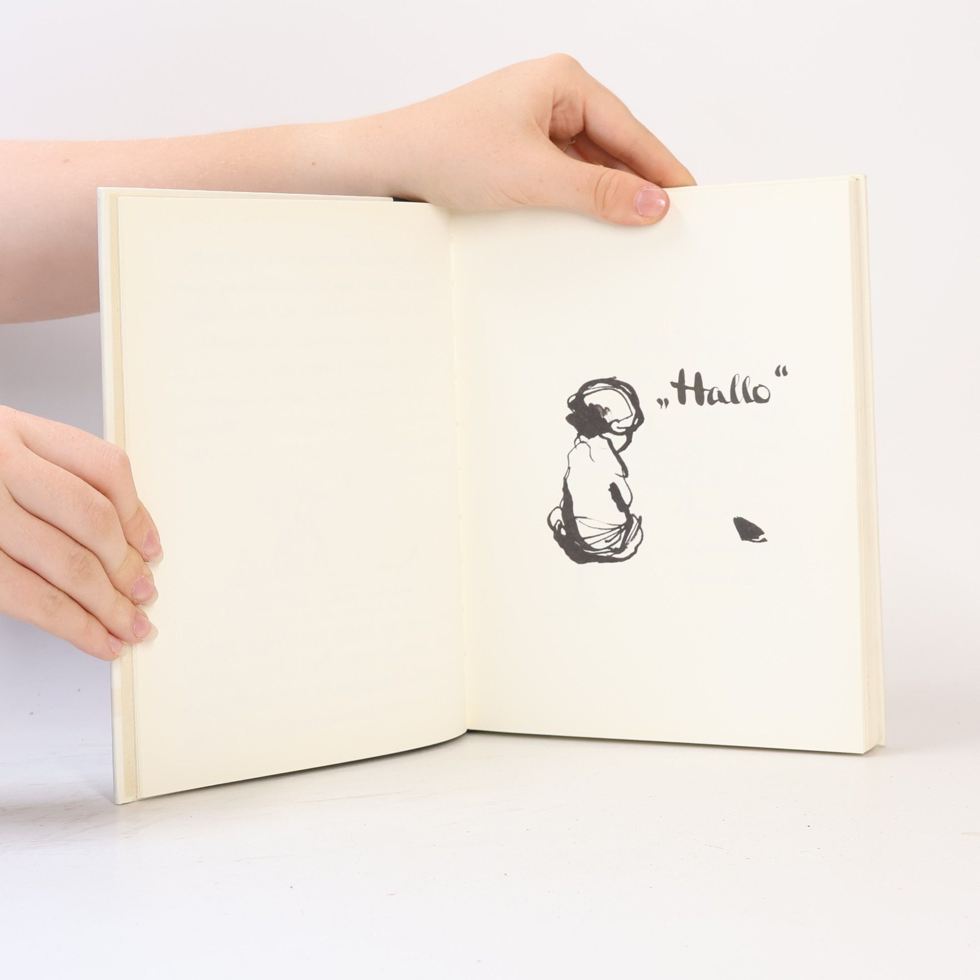 Charlie Mackesy Der Junge, der Maulwurf, der Fuchs und das Pferd