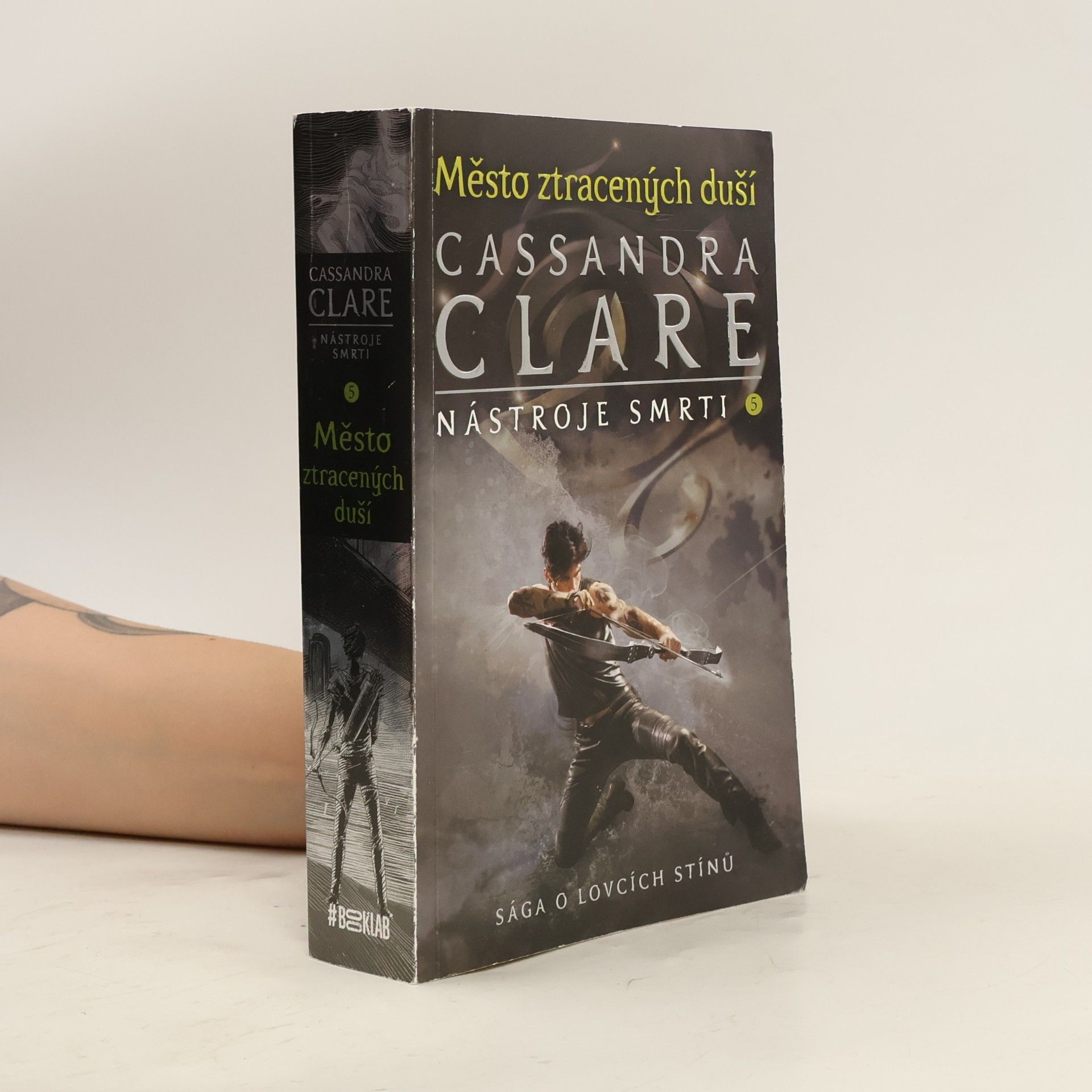 Cassandra Clare Nástroje smtri 5. Město ztracených duší