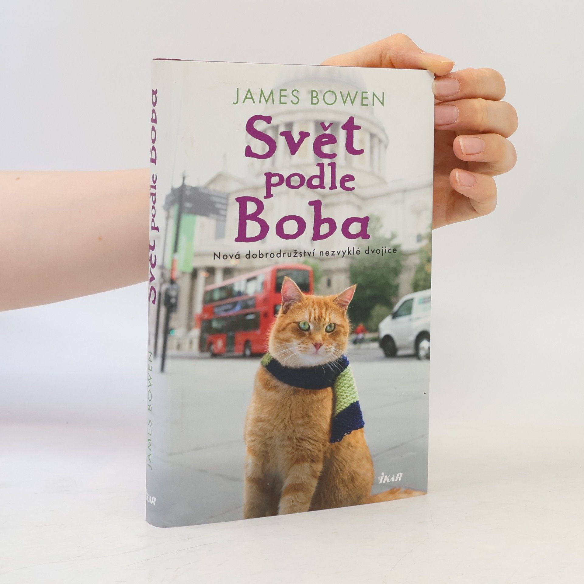 James Bowen Svět podle Boba