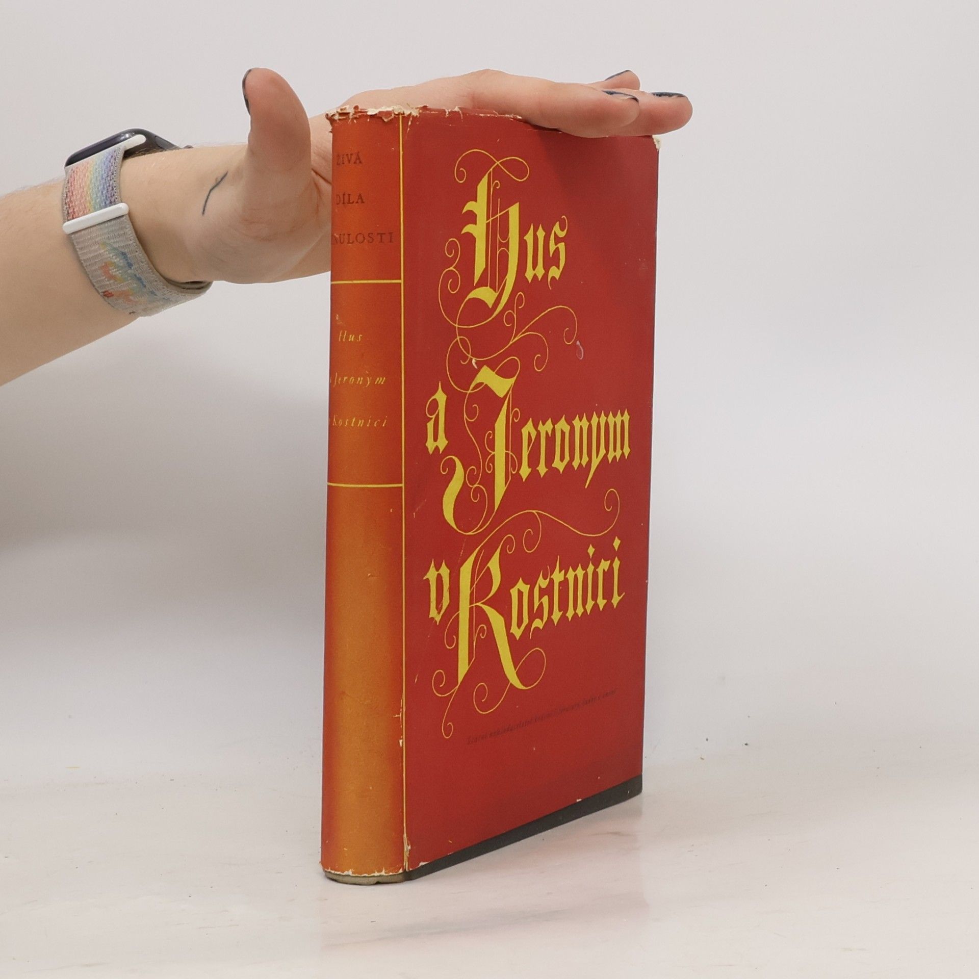 Autorenkollektiv Hus a Jeronym v Kostnici