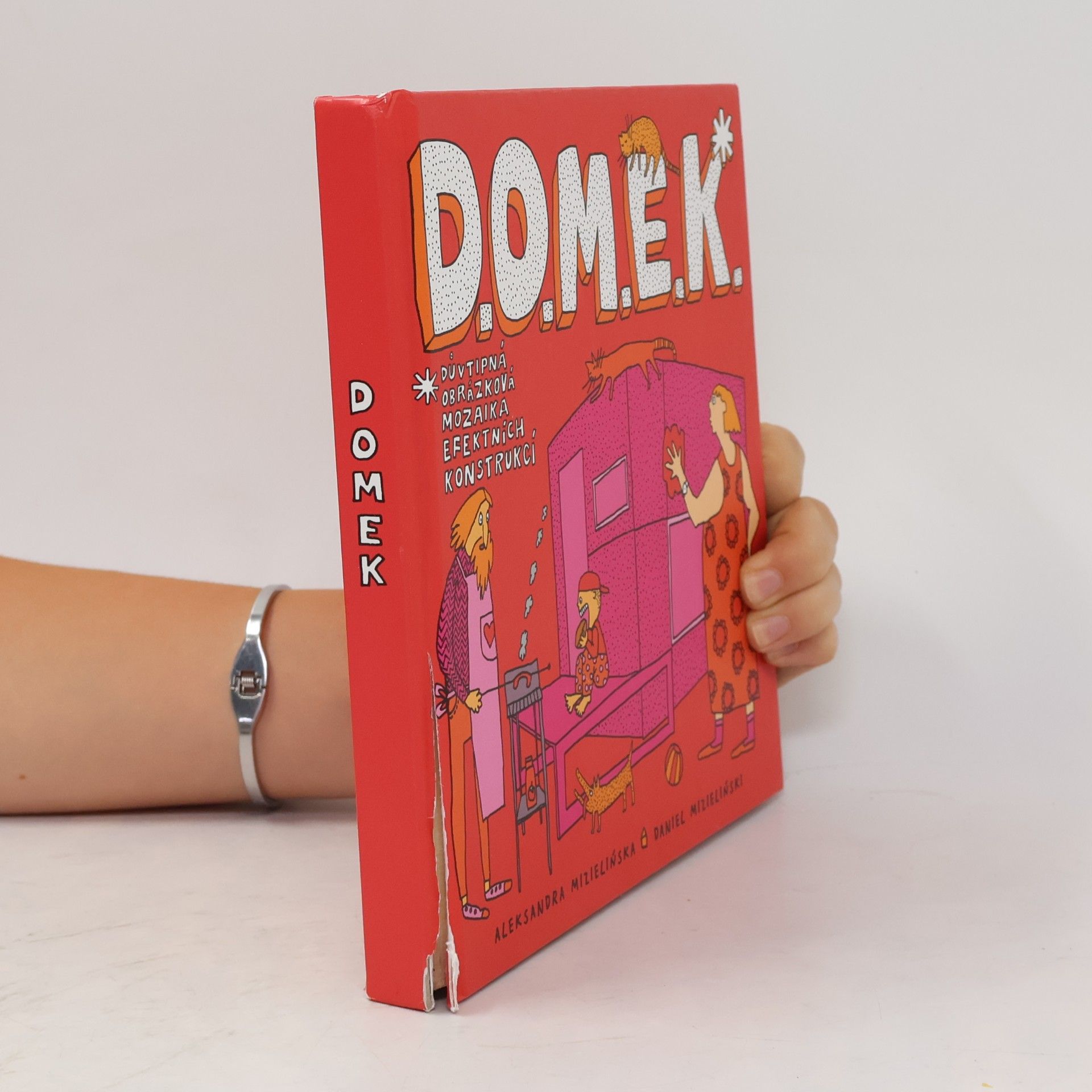 Aleksandra Mizielińska D.O.M.E.K. DOMEK. Důvtipná obrázková mozaika efektních konstrukcí