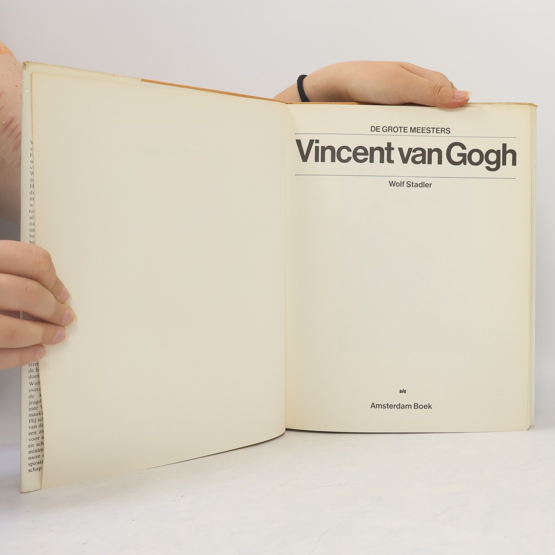 Wolf Stadler Vincent van Gogh
