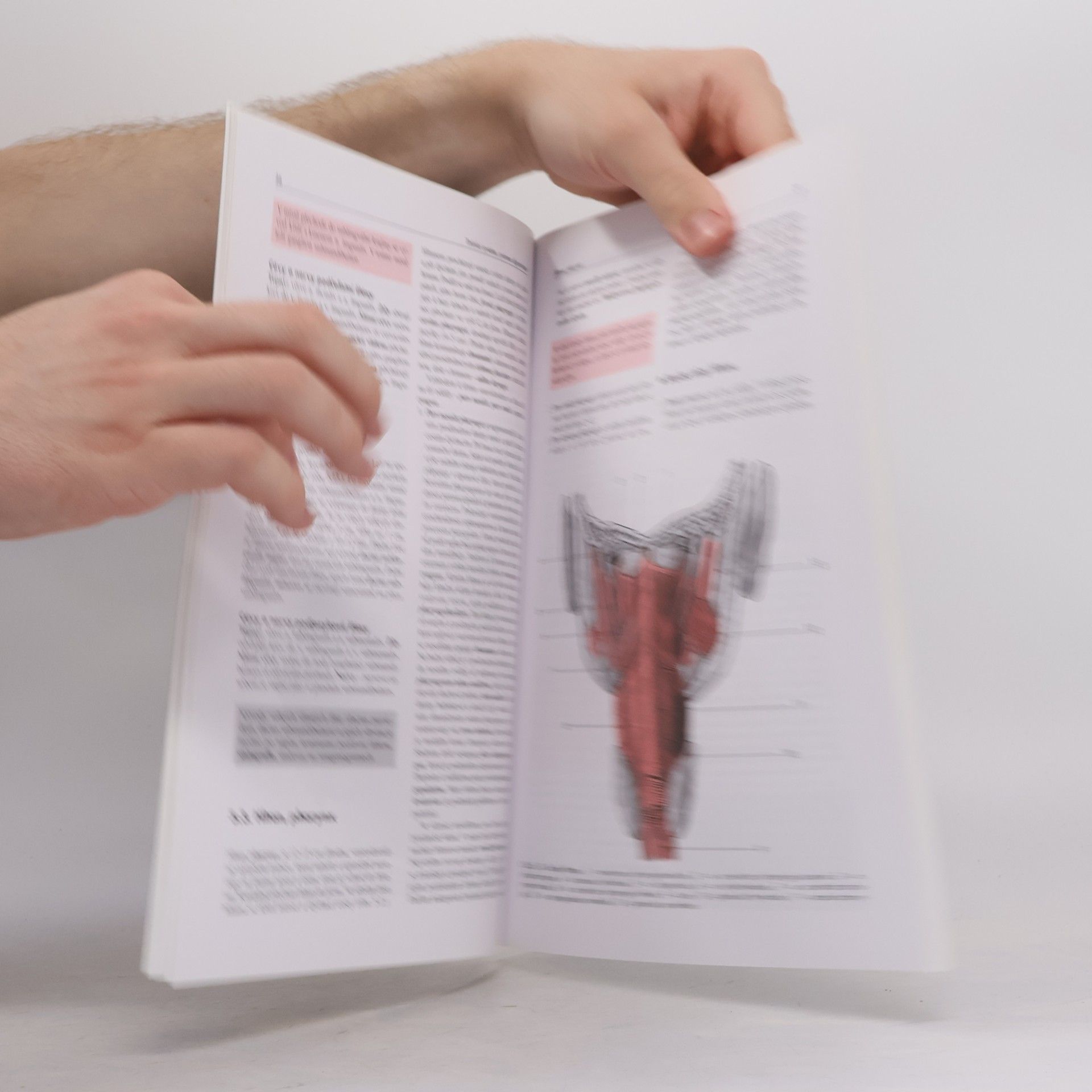 Miloš Grim Základy anatomie 3. Trávicí, dýchací, močopohlavní a endokrinní systém