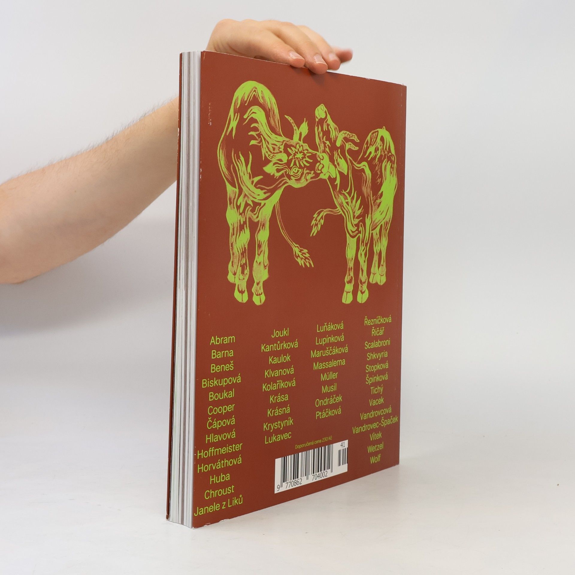 Autorenkollektiv Revue Prostor 121. Pozemšťané