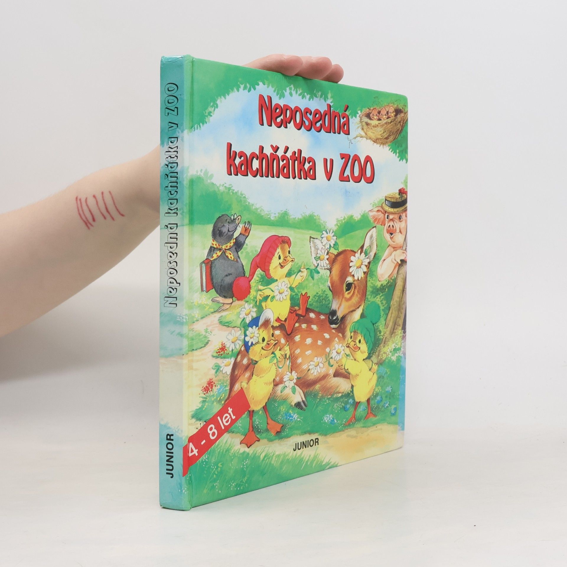 Neposedná kachňátka v ZOO