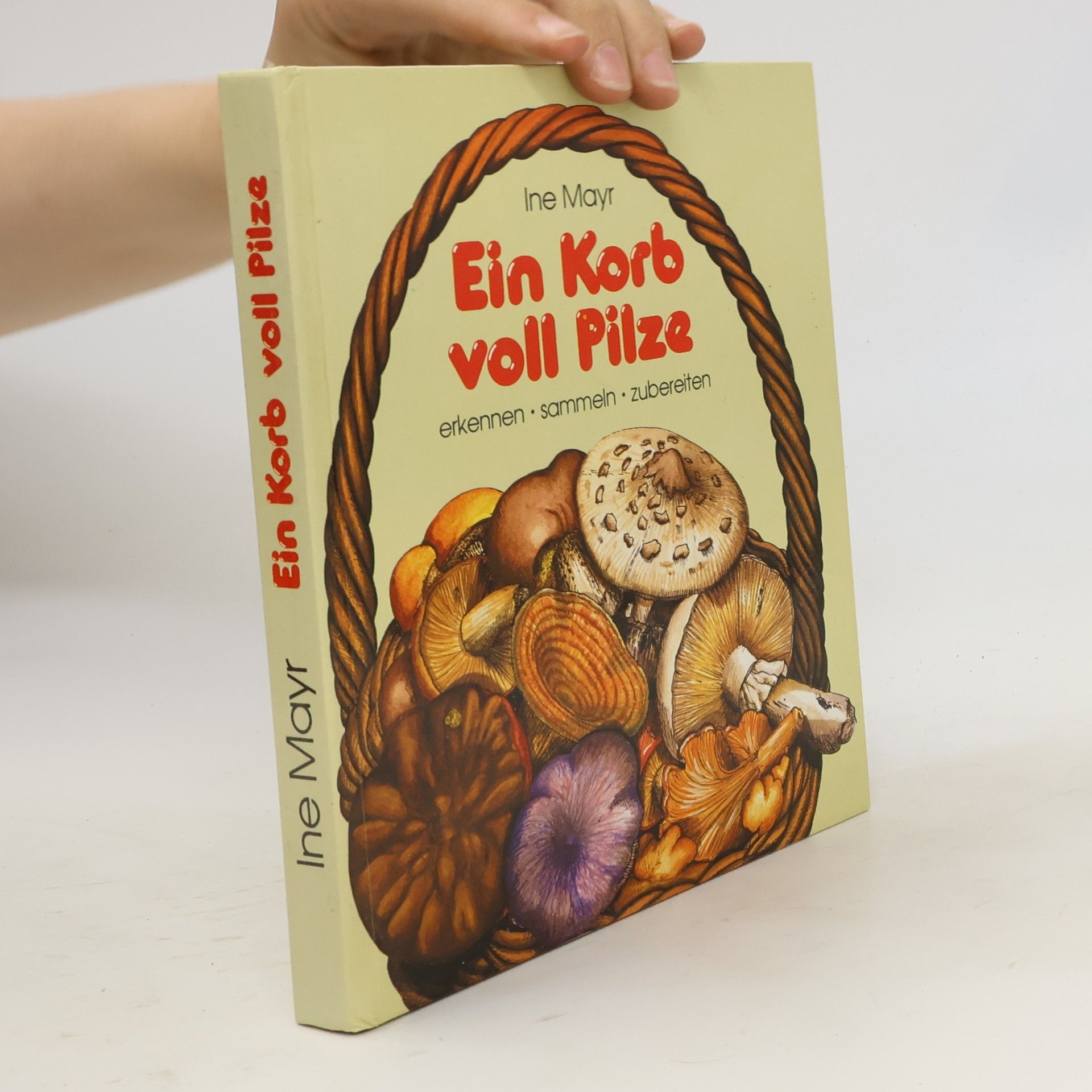 Ine Mayr Ein Korb voll Pilze