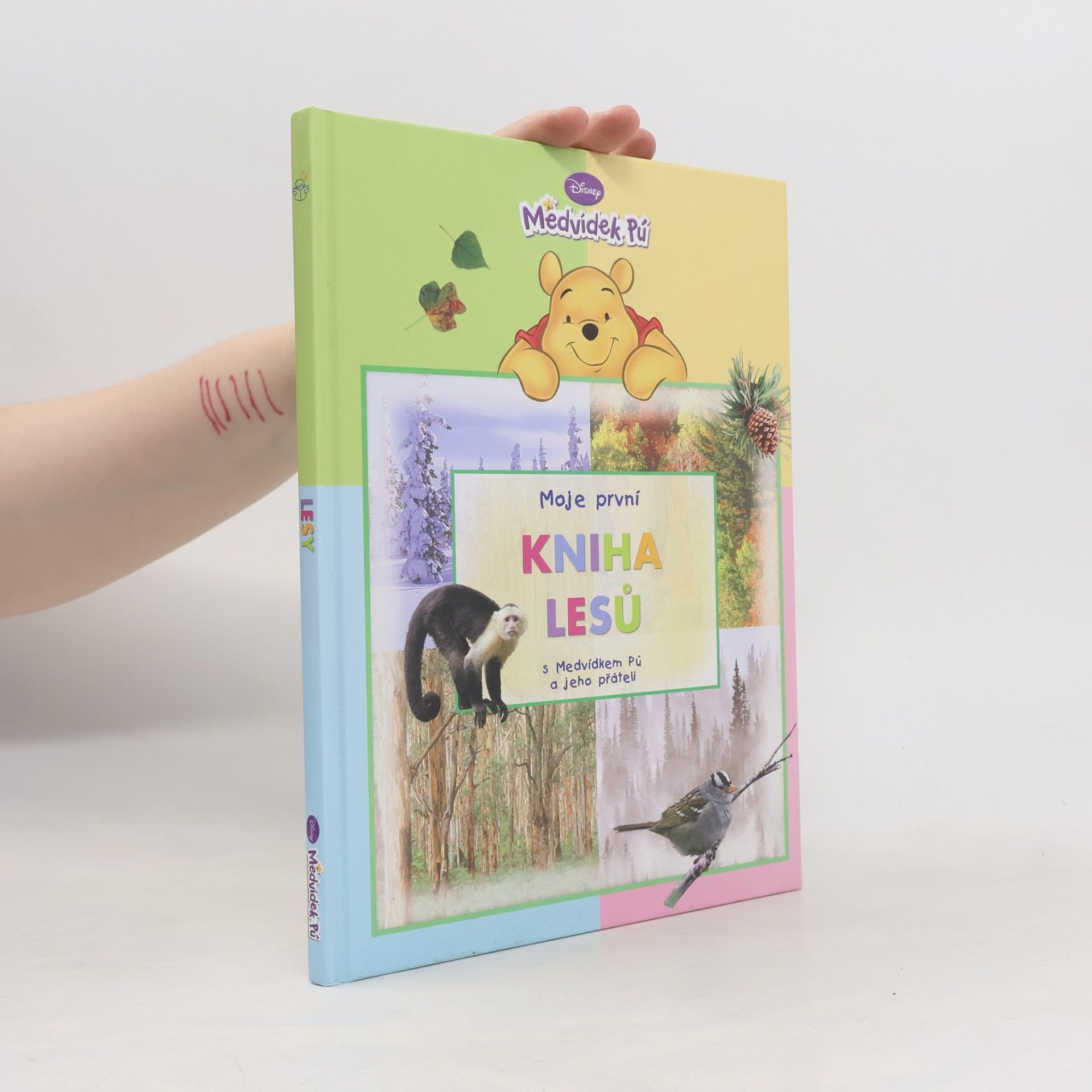 Moje první kniha lesů : s Medvídkem Pú a jeho přáteli