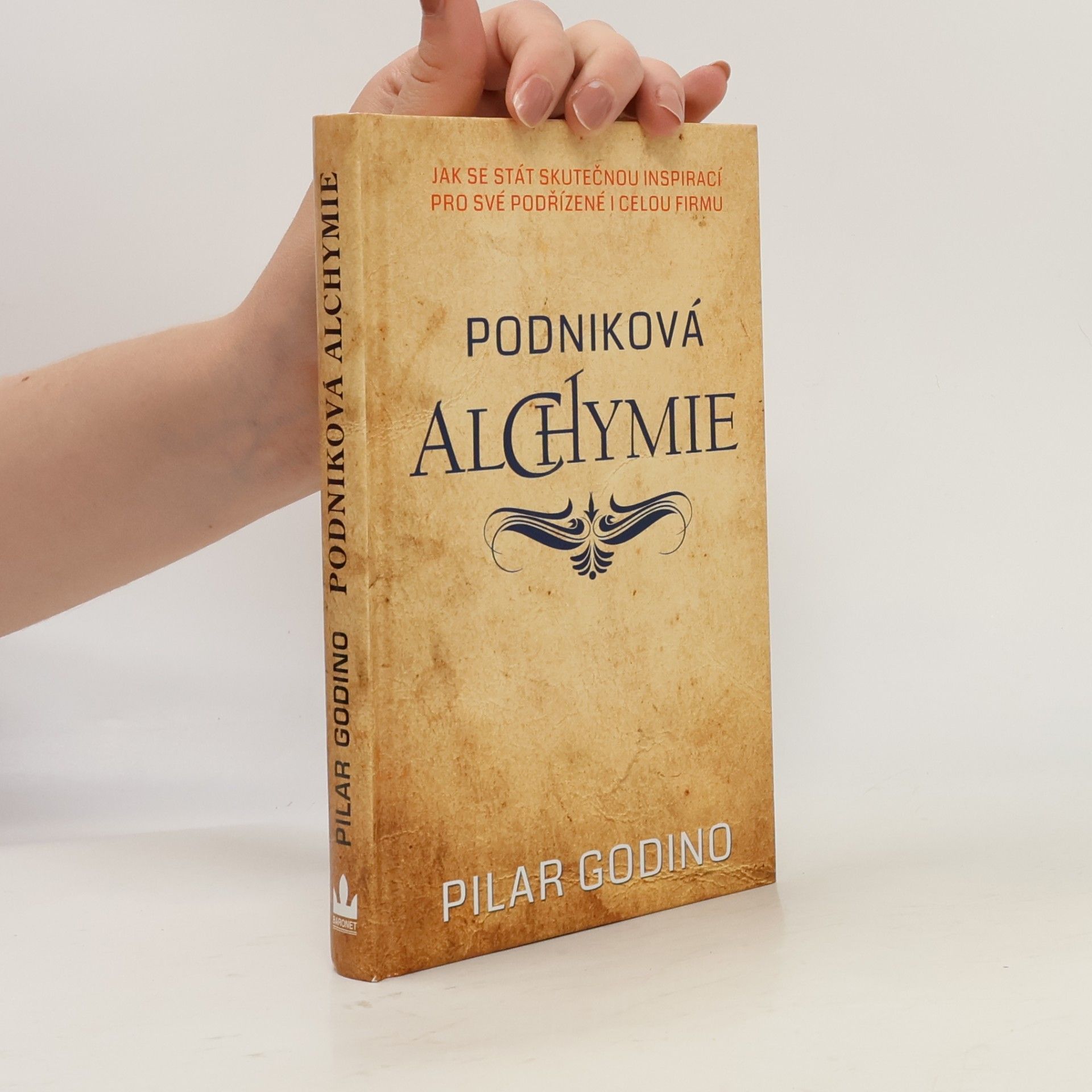 Pilar Godino Podniková alchymie