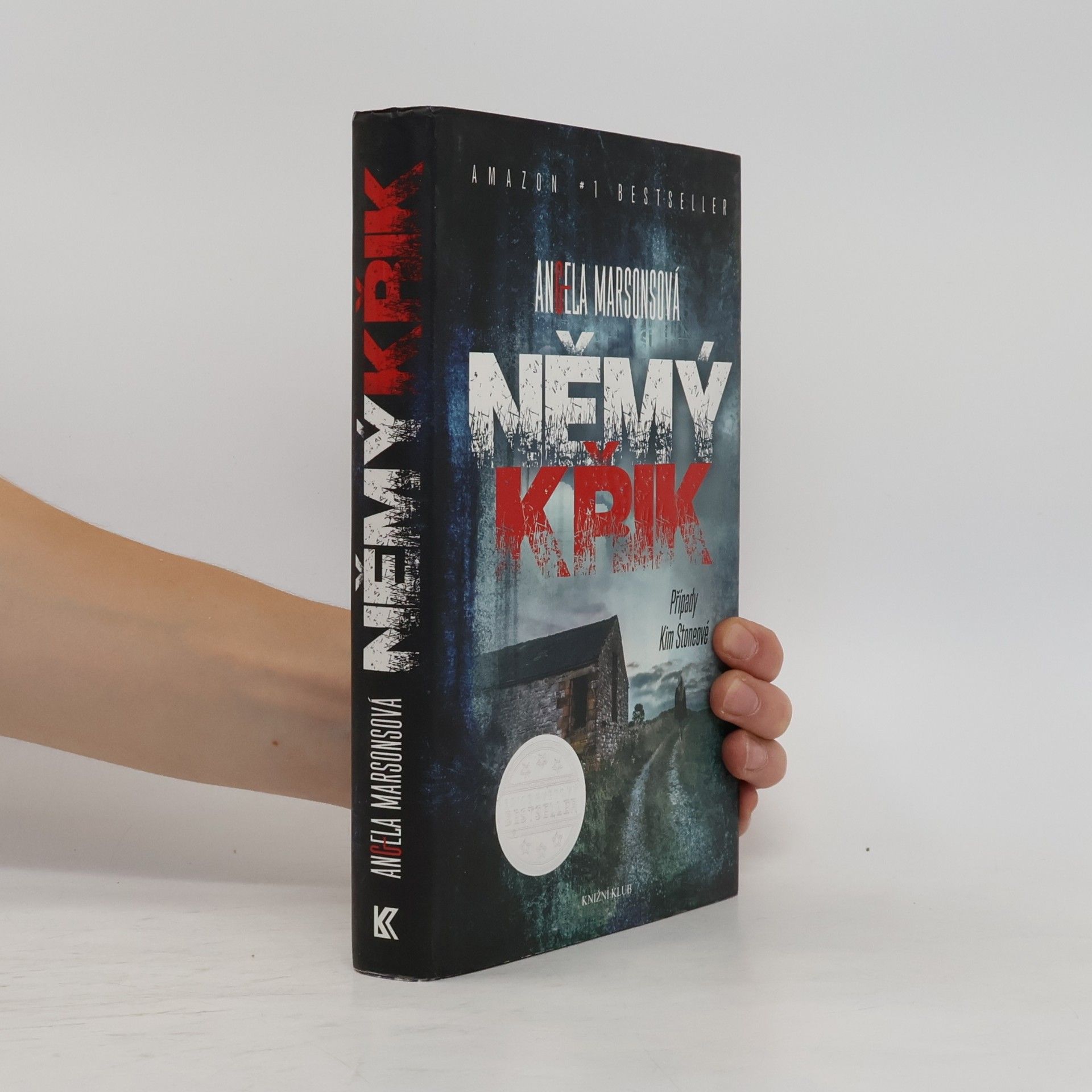 Angela Marsons Němý křik