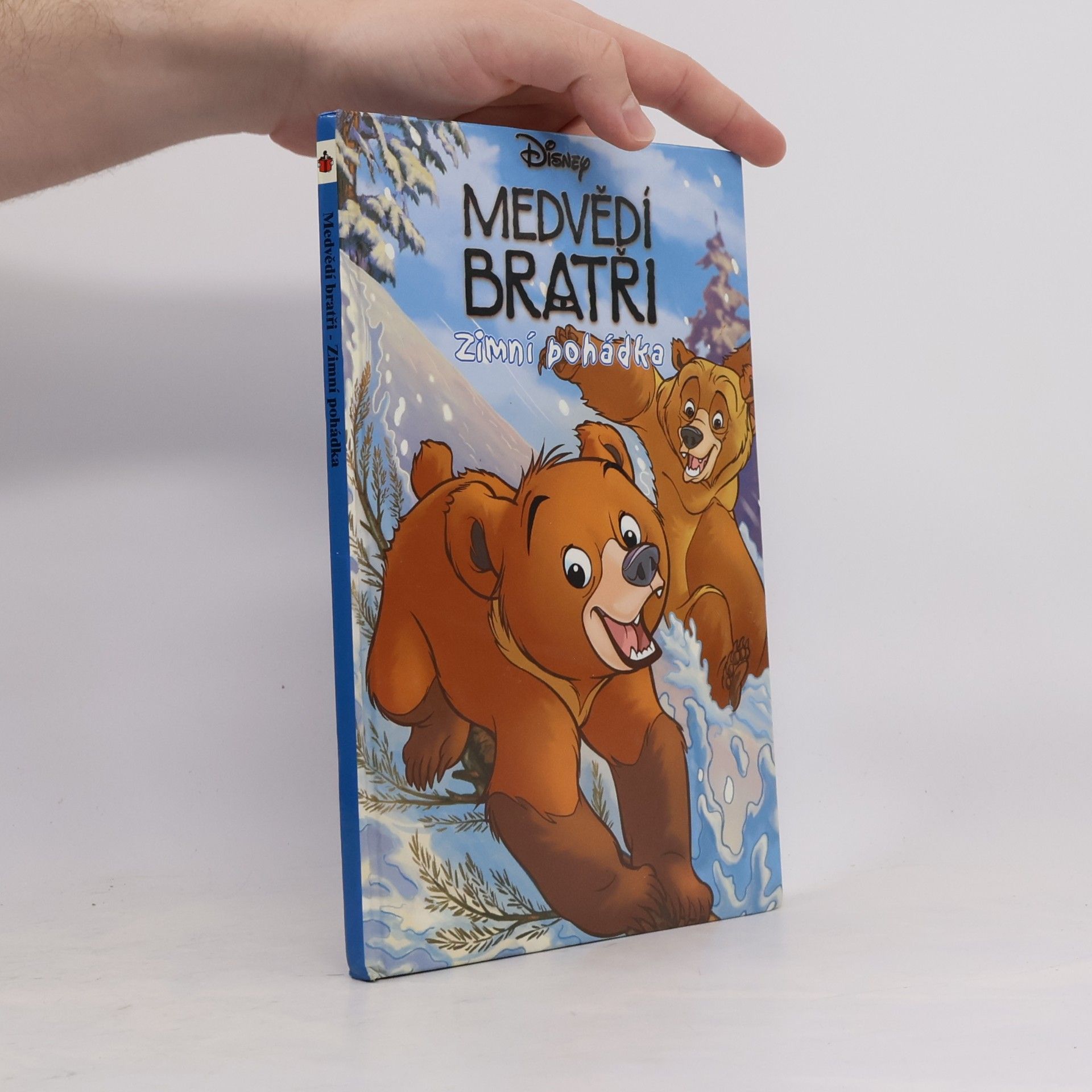 Walt Disney Medvědí bratři. Zimní pohádka